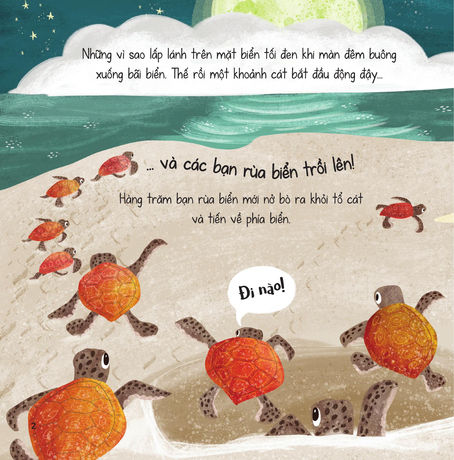 truyện kể từ đại dương - trưởng thành qua những chuyến đi - Ảnh 4