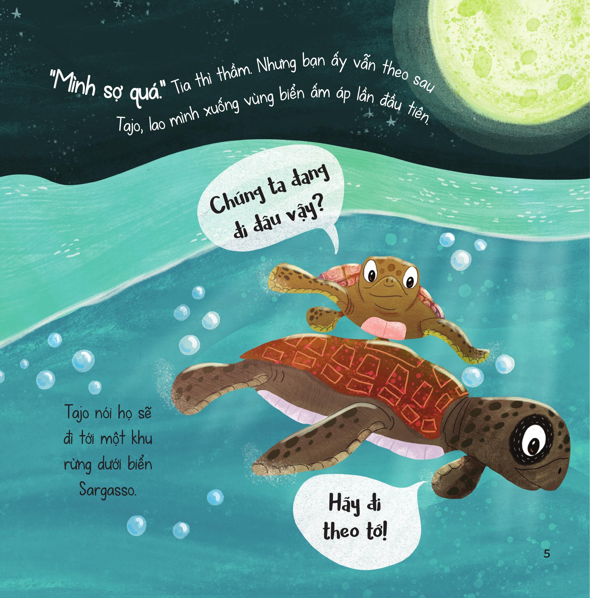 truyện kể từ đại dương - trưởng thành qua những chuyến đi - Ảnh 7