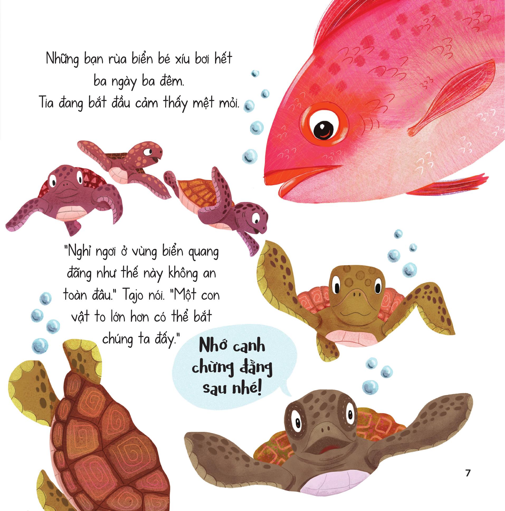 truyện kể từ đại dương - trưởng thành qua những chuyến đi - Ảnh 9