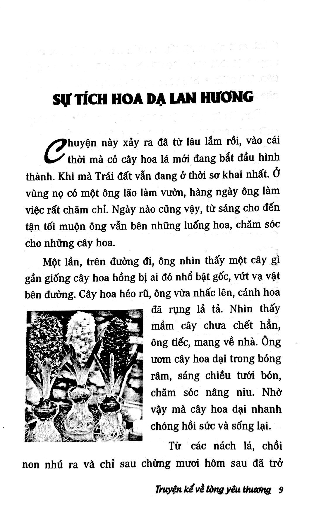 truyện kể về lòng yêu thương (tái bản) - Ảnh 6