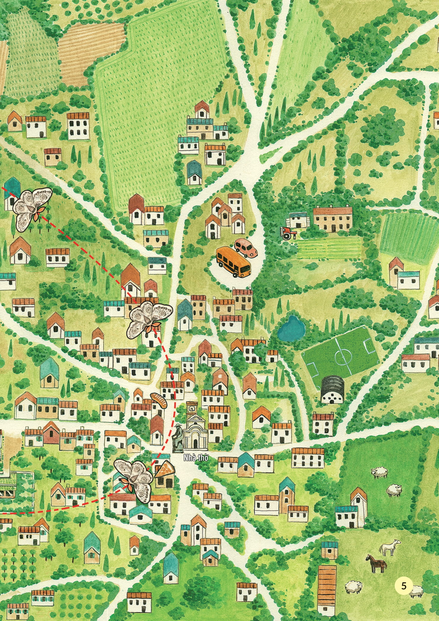 truyện tranh khoa học về các loài côn trùng - anh chàng kiên định - bướm đêm chim công khổng lồ - Ảnh 4