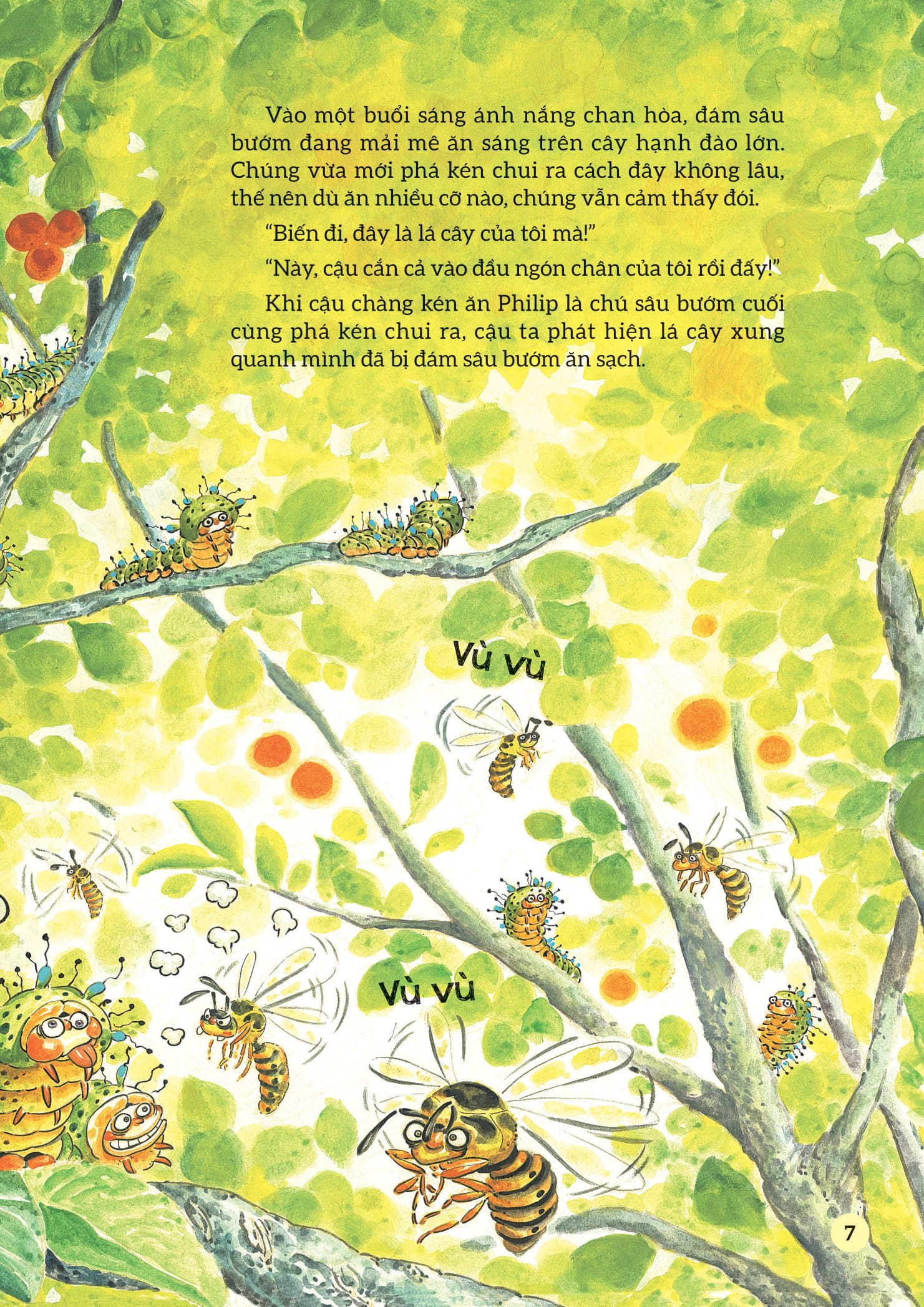 truyện tranh khoa học về các loài côn trùng - anh chàng kiên định - bướm đêm chim công khổng lồ - Ảnh 6