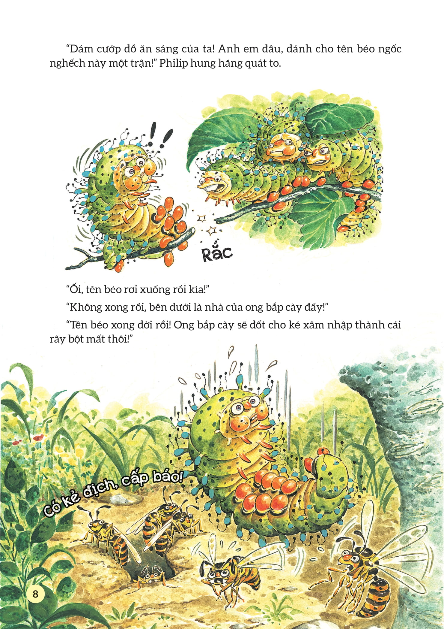 truyện tranh khoa học về các loài côn trùng - anh chàng kiên định - bướm đêm chim công khổng lồ - Ảnh 7