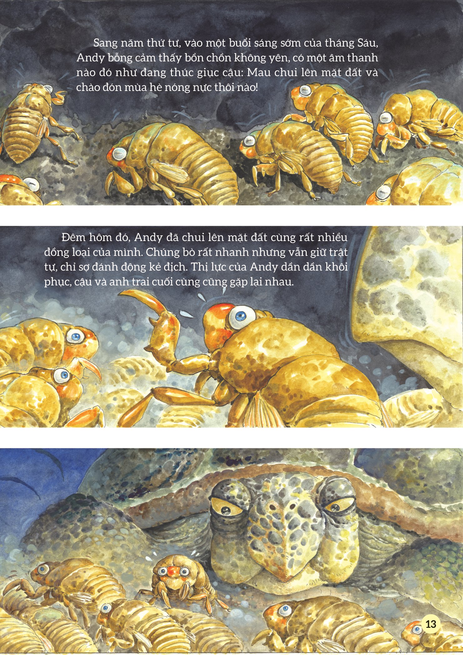 truyện tranh khoa học về các loài côn trùng - ca sĩ nhiệt tình - ve sầu - Ảnh 10