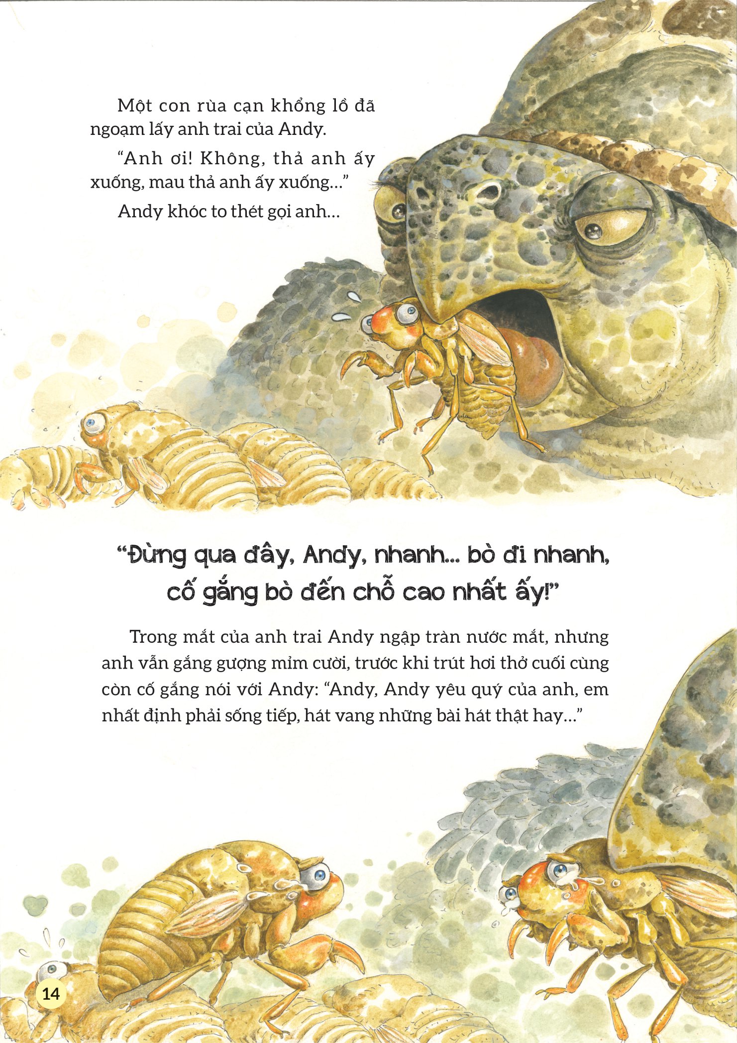 truyện tranh khoa học về các loài côn trùng - ca sĩ nhiệt tình - ve sầu - Ảnh 11