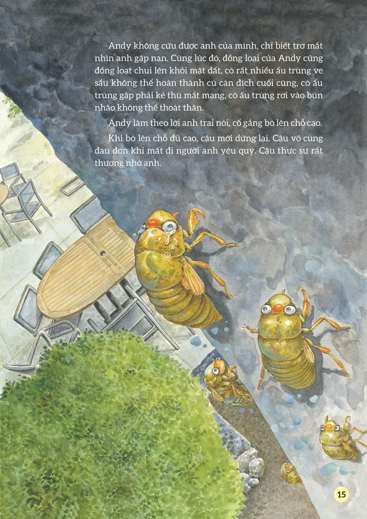 truyện tranh khoa học về các loài côn trùng - ca sĩ nhiệt tình - ve sầu - Ảnh 12