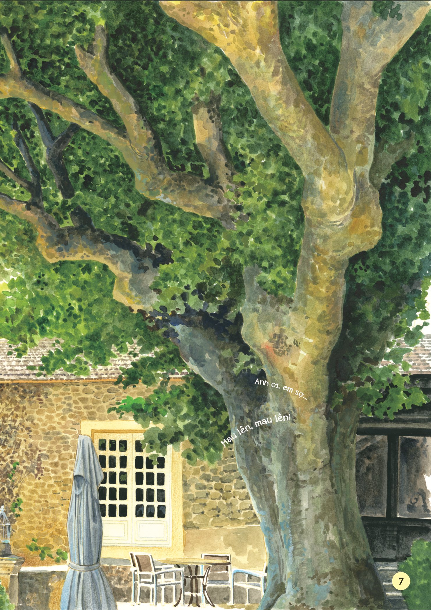 truyện tranh khoa học về các loài côn trùng - ca sĩ nhiệt tình - ve sầu - Ảnh 4