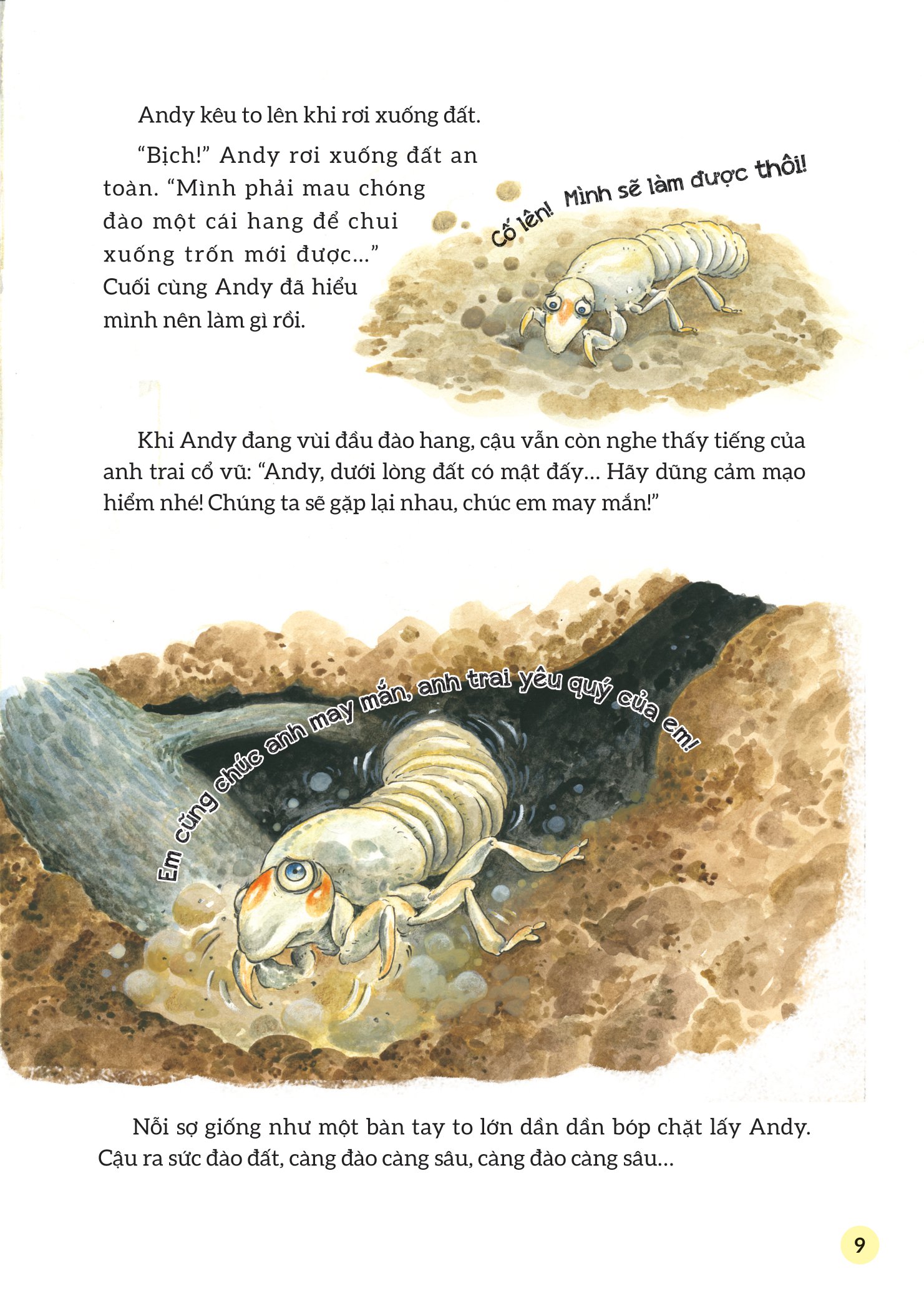 truyện tranh khoa học về các loài côn trùng - ca sĩ nhiệt tình - ve sầu - Ảnh 6