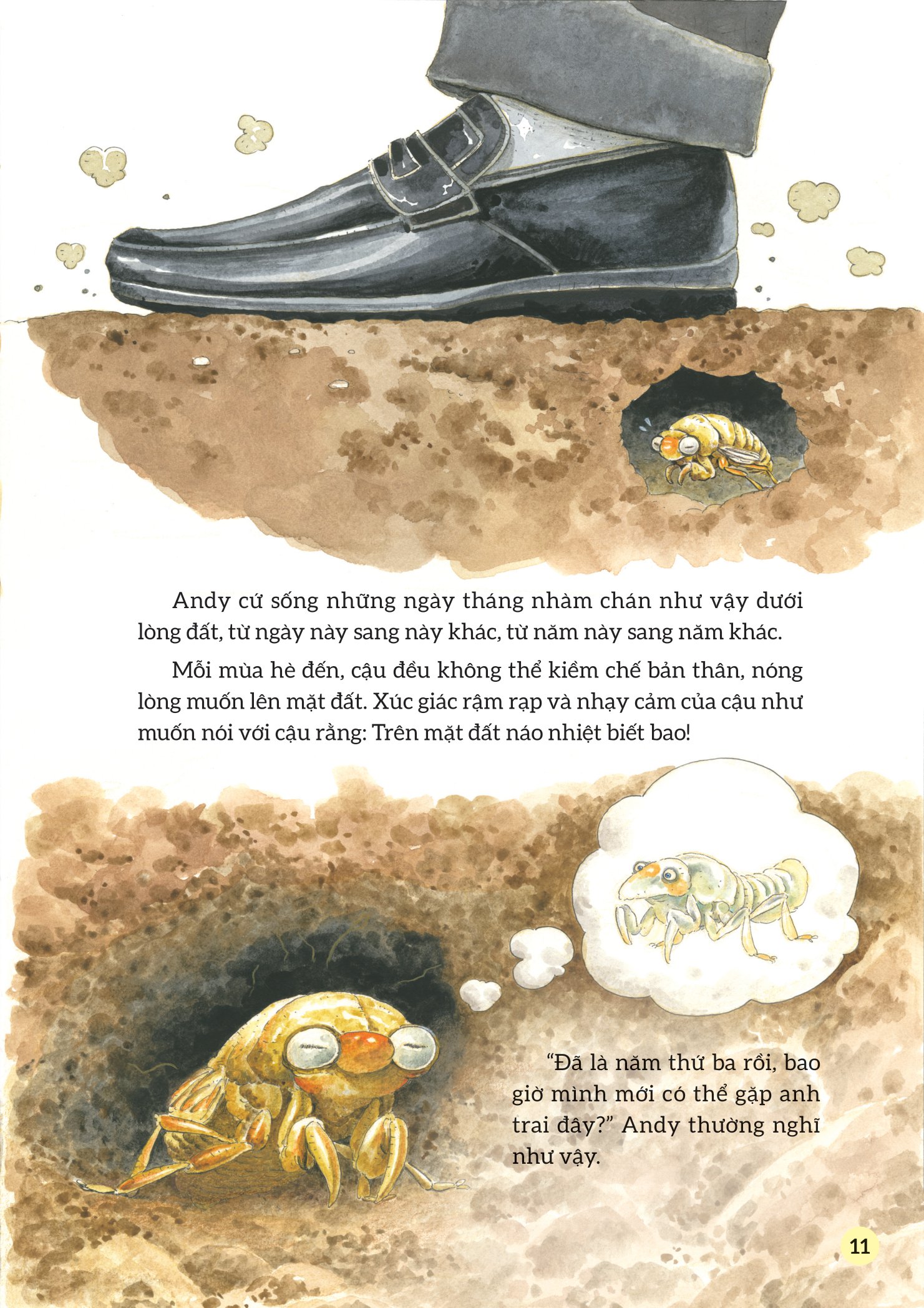 truyện tranh khoa học về các loài côn trùng - ca sĩ nhiệt tình - ve sầu - Ảnh 8