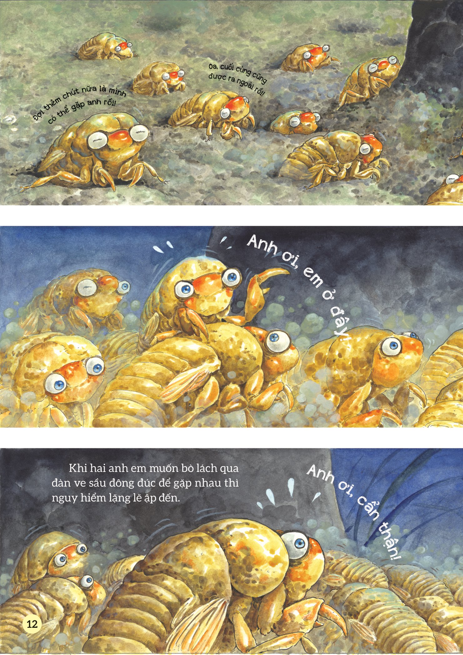 truyện tranh khoa học về các loài côn trùng - ca sĩ nhiệt tình - ve sầu - Ảnh 9