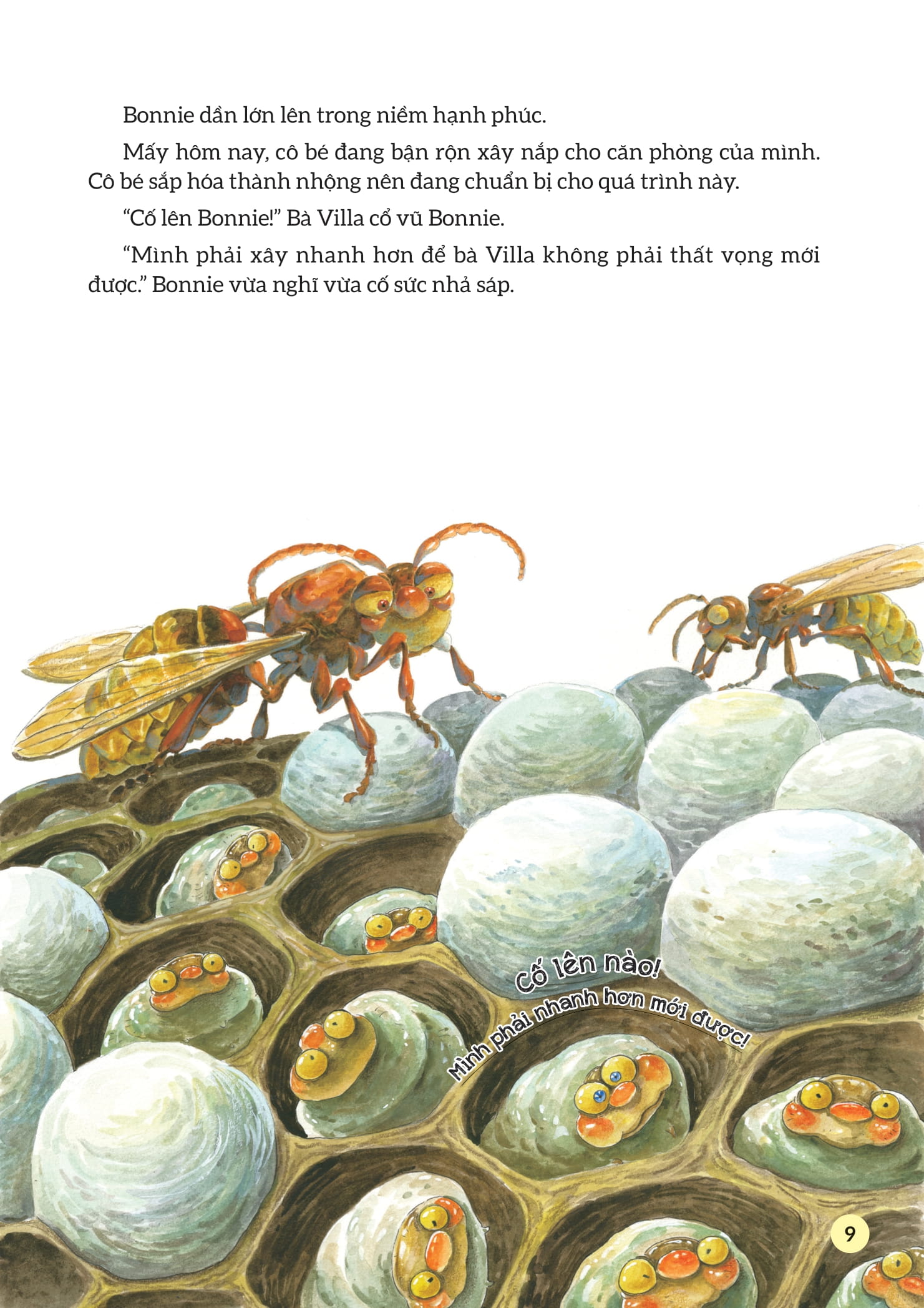 truyện tranh khoa học về các loài côn trùng - câu chuyện về bà villa nghiêm khắc - ong bắp cày - Ảnh 8