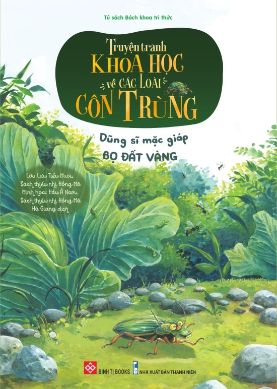 truyện tranh khoa học về các loài côn trùng - dũng sĩ mặc giáp - bọ đất vàng - Ảnh 2
