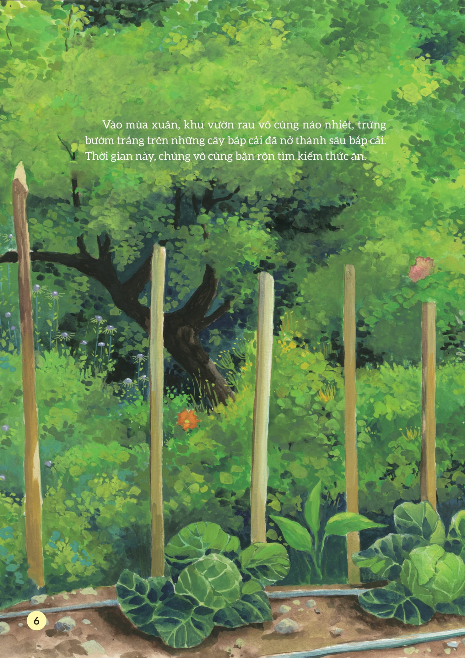 truyện tranh khoa học về các loài côn trùng - dũng sĩ mặc giáp - bọ đất vàng - Ảnh 5