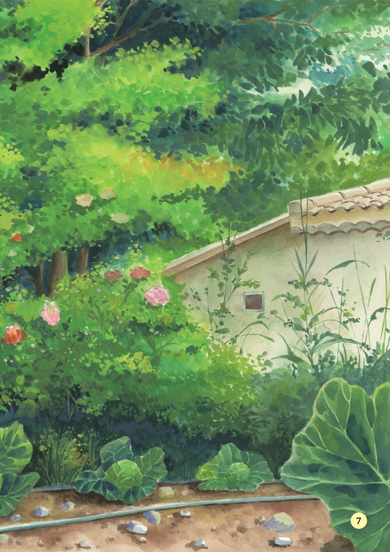 truyện tranh khoa học về các loài côn trùng - dũng sĩ mặc giáp - bọ đất vàng - Ảnh 6