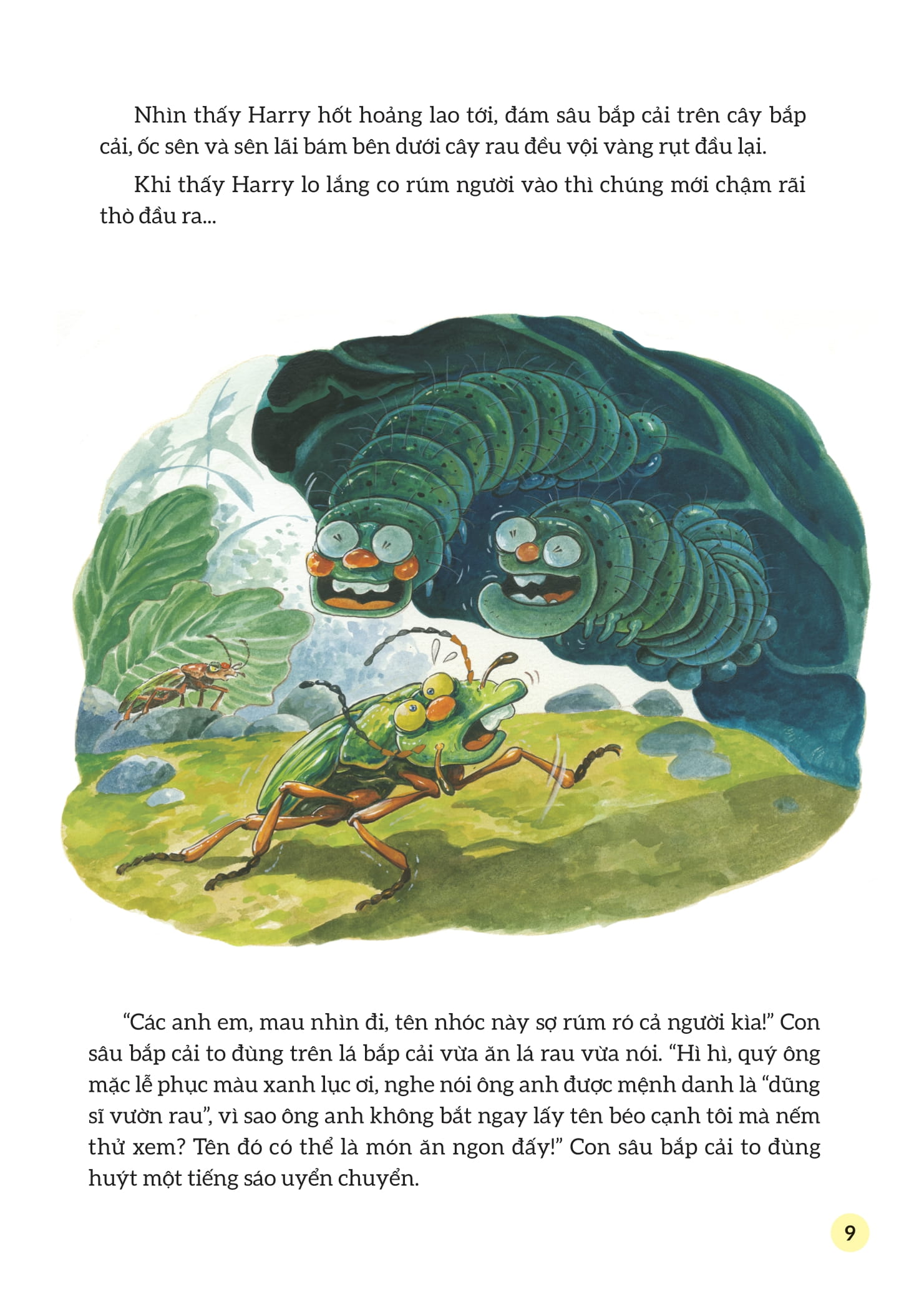 truyện tranh khoa học về các loài côn trùng - dũng sĩ mặc giáp - bọ đất vàng - Ảnh 8