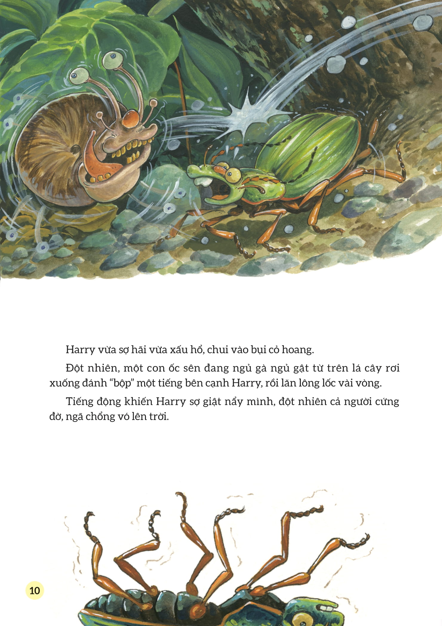 truyện tranh khoa học về các loài côn trùng - dũng sĩ mặc giáp - bọ đất vàng - Ảnh 9