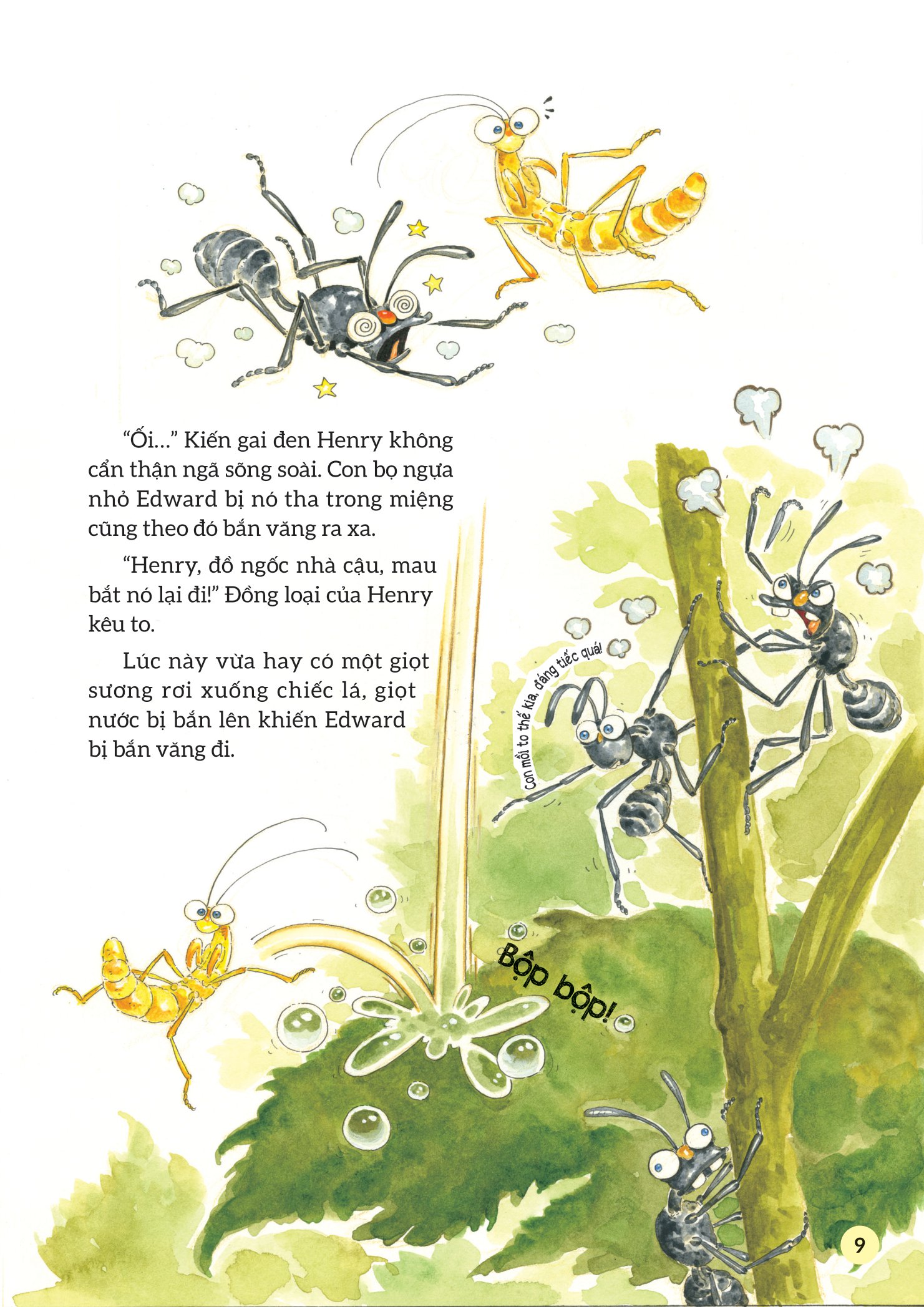 truyện tranh khoa học về các loài côn trùng - hiệp sĩ dũng cảm - bọ ngựa - Ảnh 10