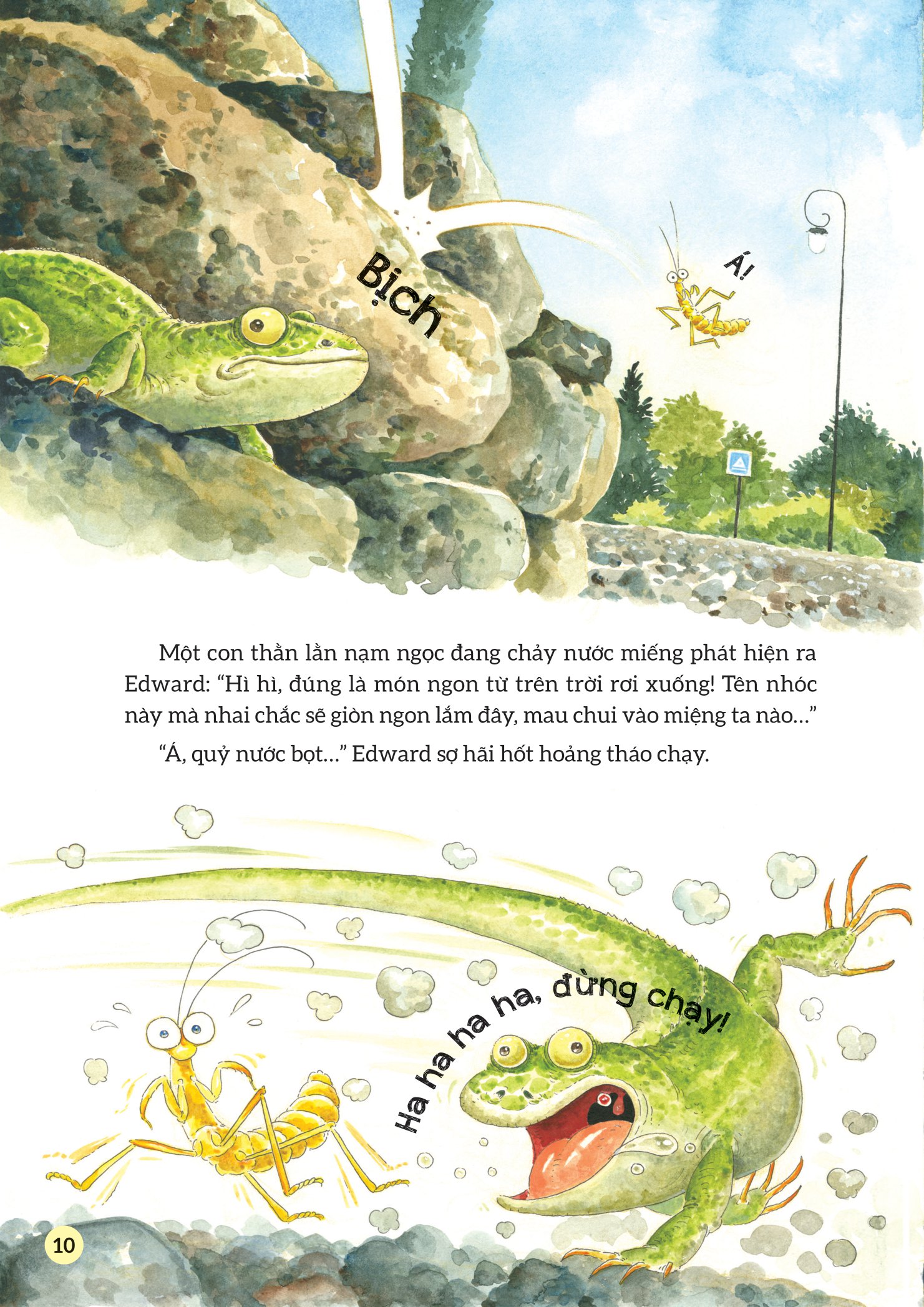 truyện tranh khoa học về các loài côn trùng - hiệp sĩ dũng cảm - bọ ngựa - Ảnh 11