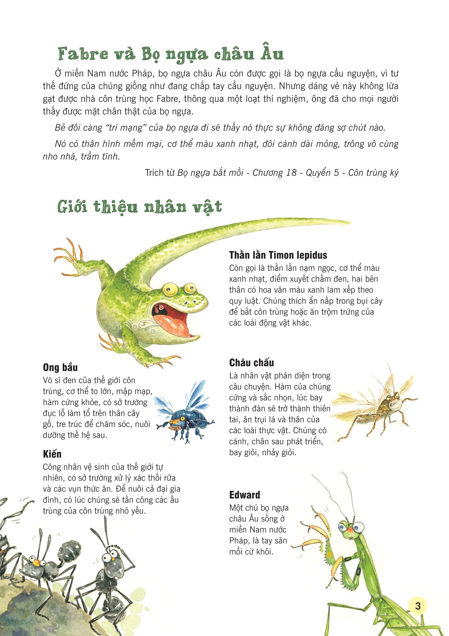 truyện tranh khoa học về các loài côn trùng - hiệp sĩ dũng cảm - bọ ngựa - Ảnh 4