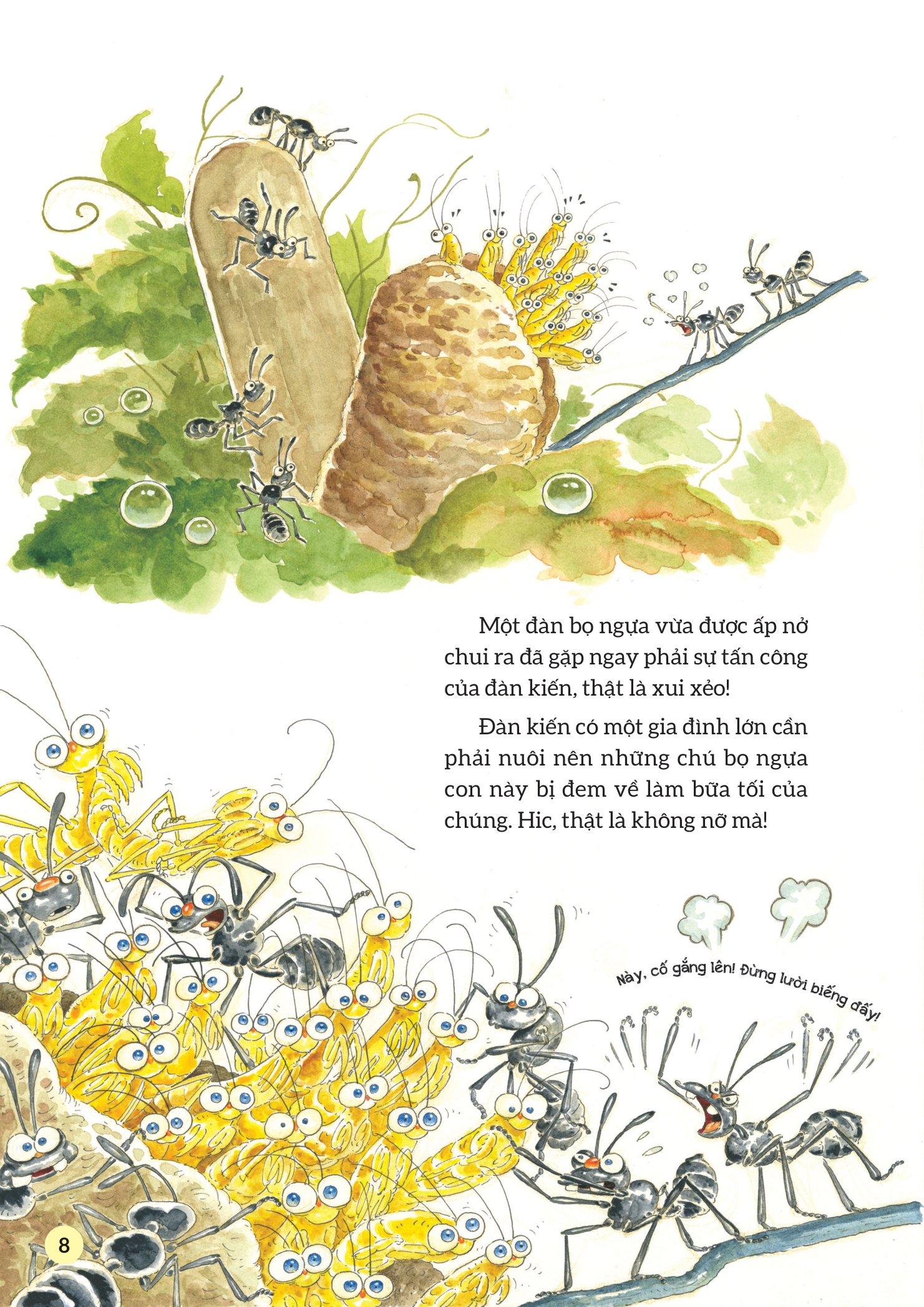 truyện tranh khoa học về các loài côn trùng - hiệp sĩ dũng cảm - bọ ngựa - Ảnh 9