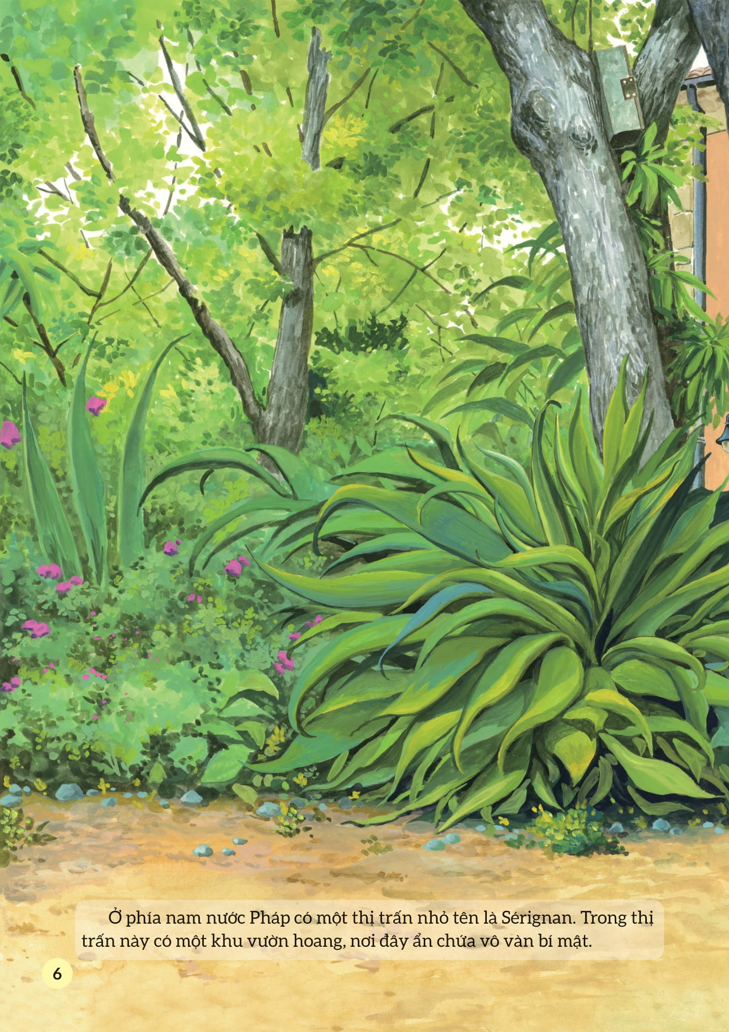 truyện tranh khoa học về các loài côn trùng - lính trinh sát dũng cảm - kiến polyergus - Ảnh 5