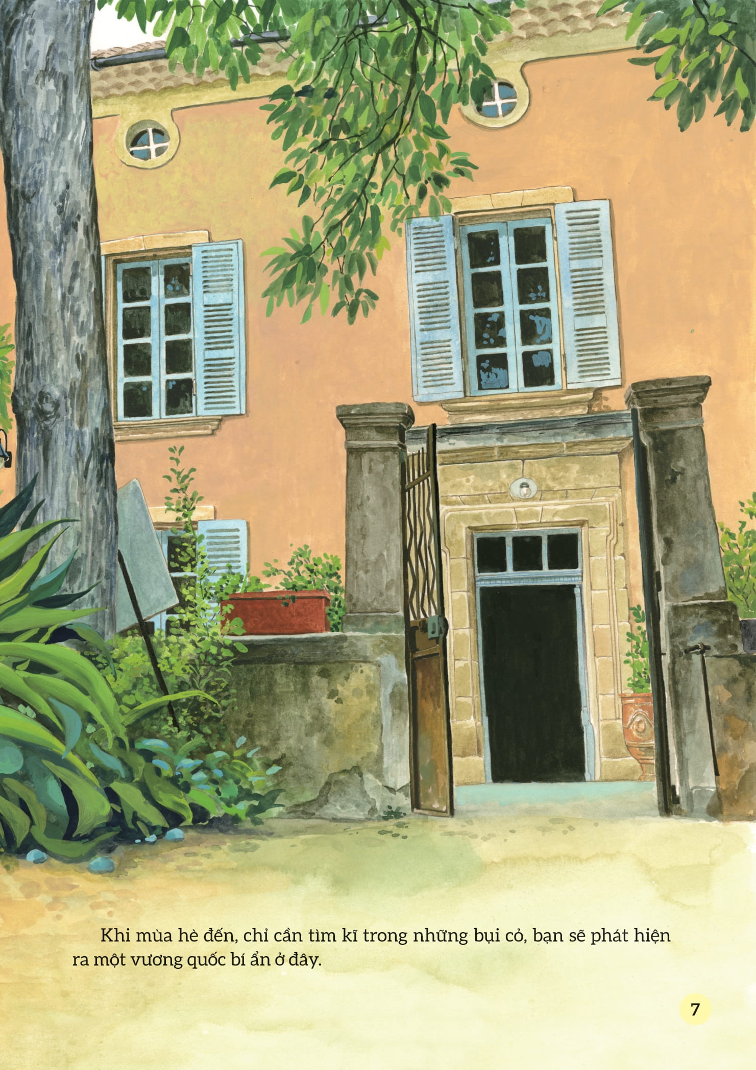 truyện tranh khoa học về các loài côn trùng - lính trinh sát dũng cảm - kiến polyergus - Ảnh 6