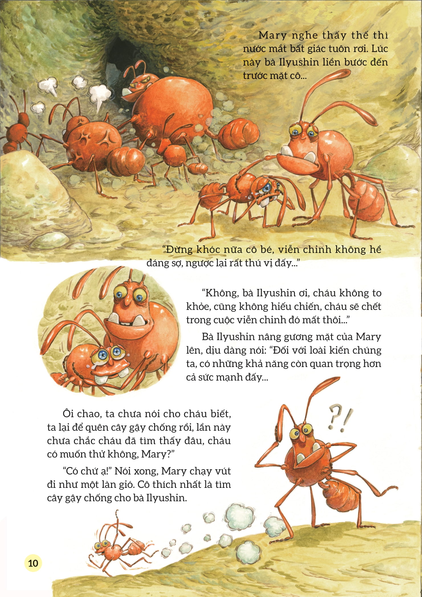 truyện tranh khoa học về các loài côn trùng - lính trinh sát dũng cảm - kiến polyergus - Ảnh 9