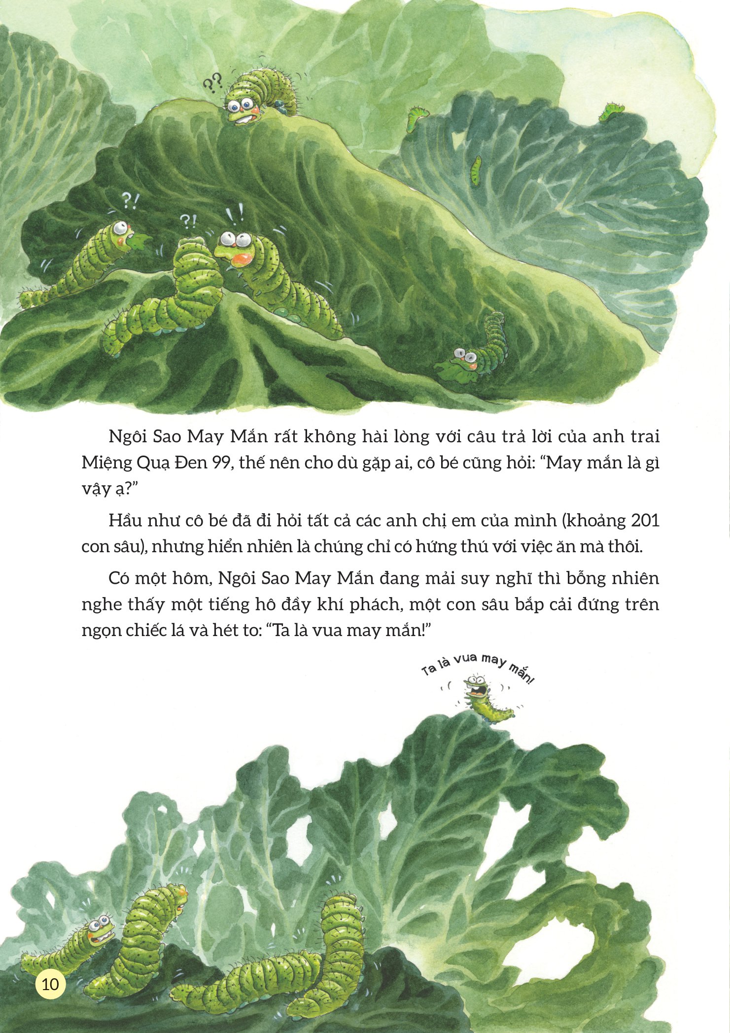 truyện tranh khoa học về các loài côn trùng - ngôi sao may mắn - sâu bắp cải - Ảnh 11