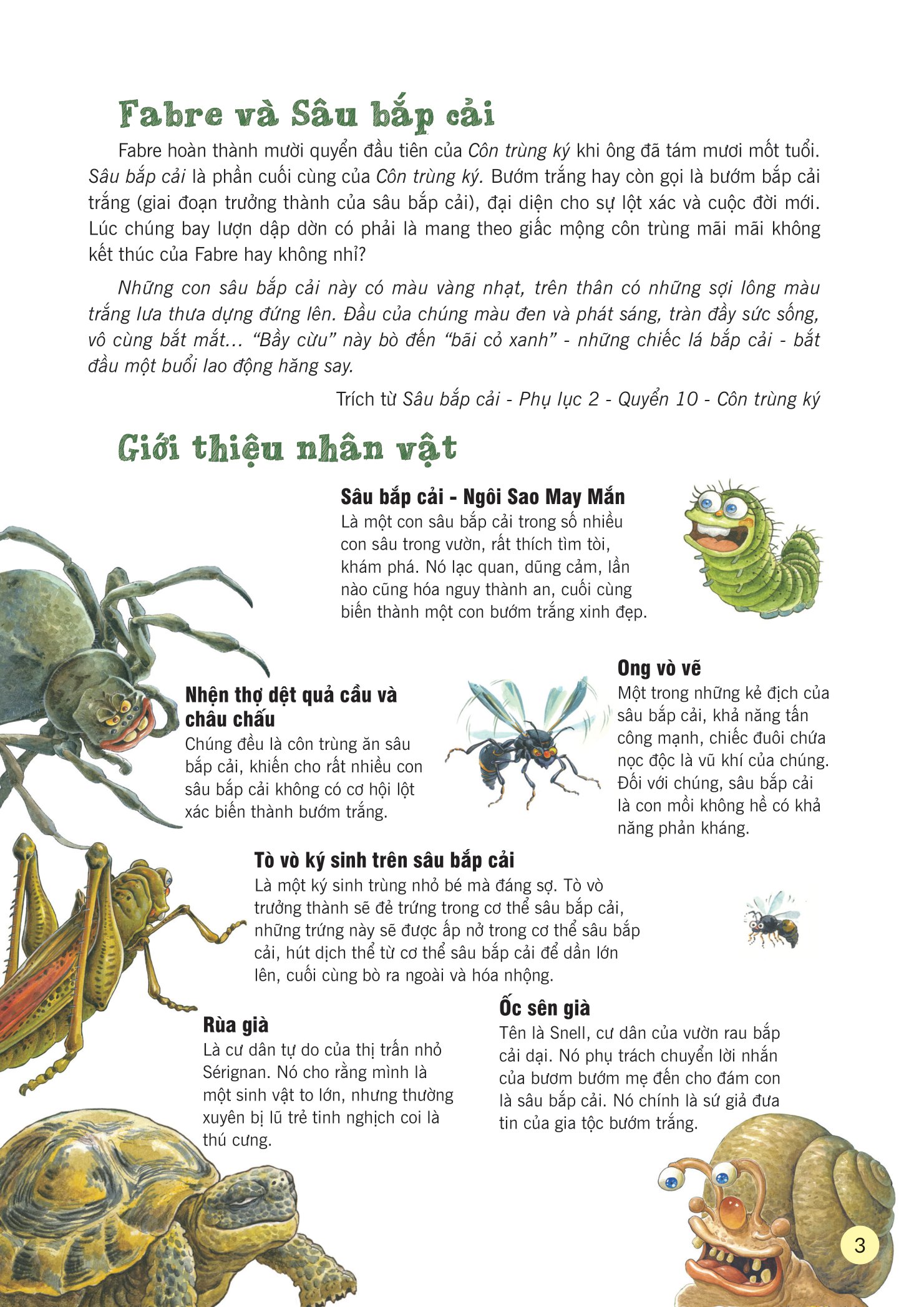 truyện tranh khoa học về các loài côn trùng - ngôi sao may mắn - sâu bắp cải - Ảnh 4