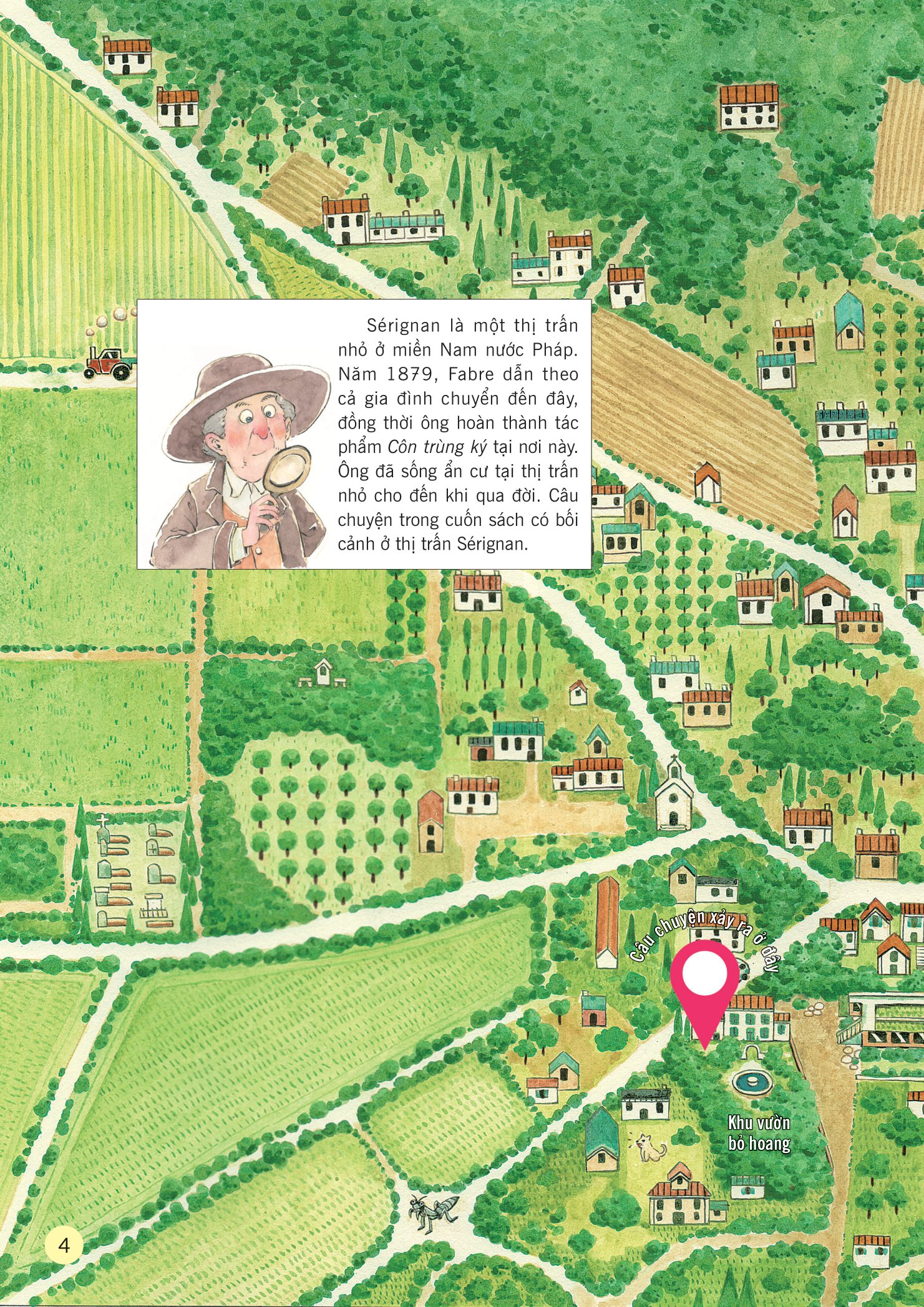 truyện tranh khoa học về các loài côn trùng - ngôi sao may mắn - sâu bắp cải - Ảnh 5