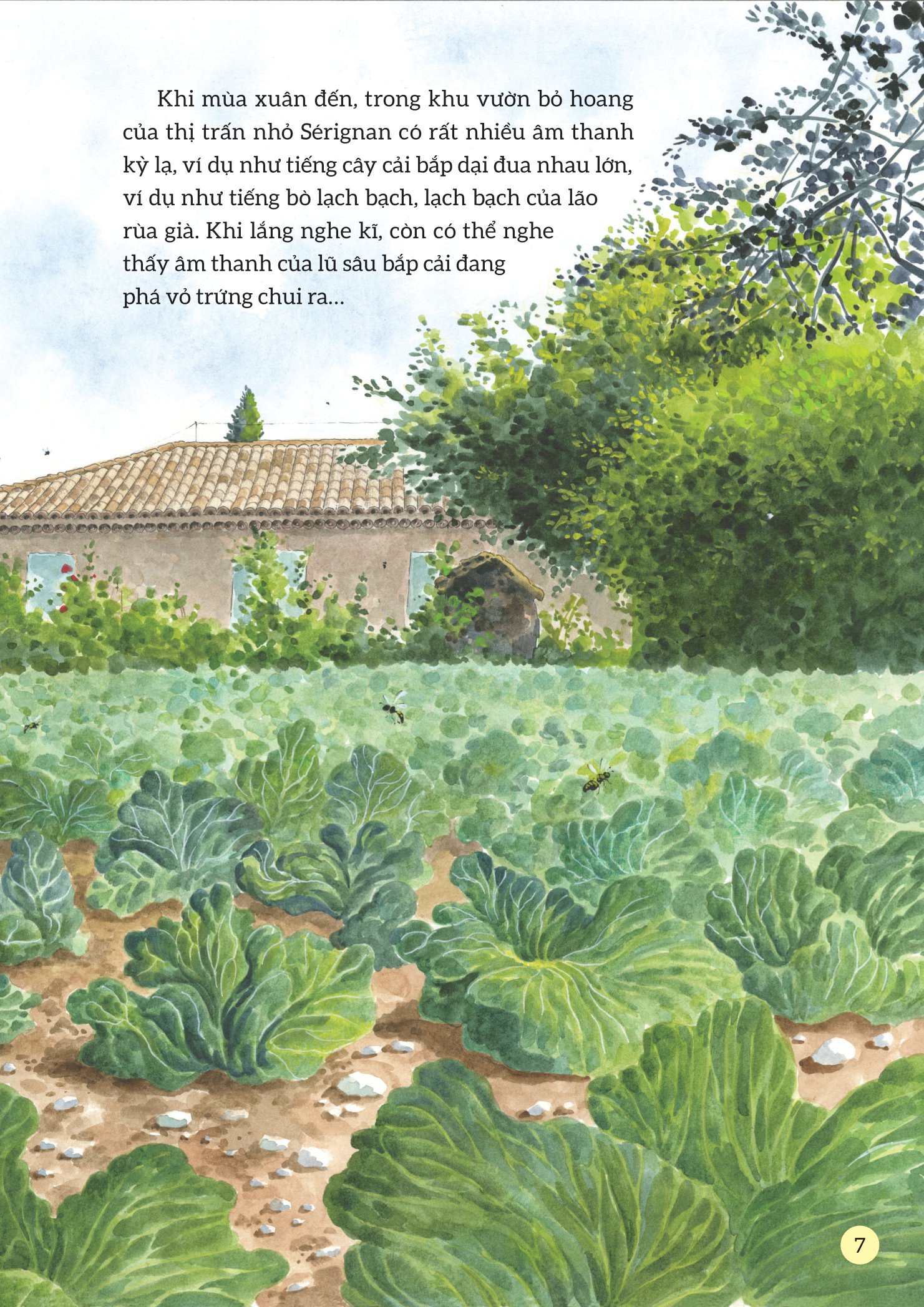 truyện tranh khoa học về các loài côn trùng - ngôi sao may mắn - sâu bắp cải - Ảnh 8