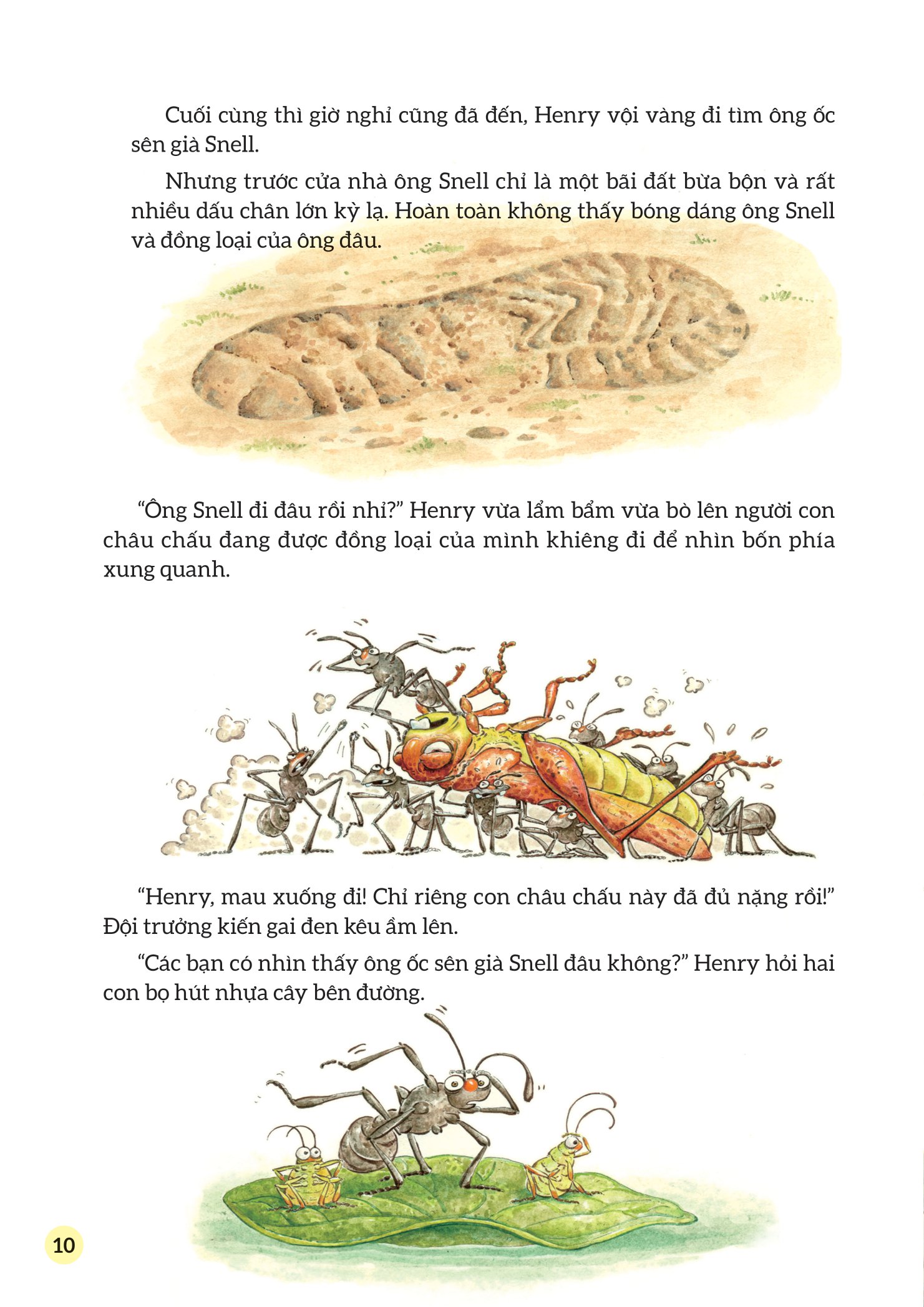 truyện tranh khoa học về các loài côn trùng - người bạn đáng ngờ - đom đóm - Ảnh 11