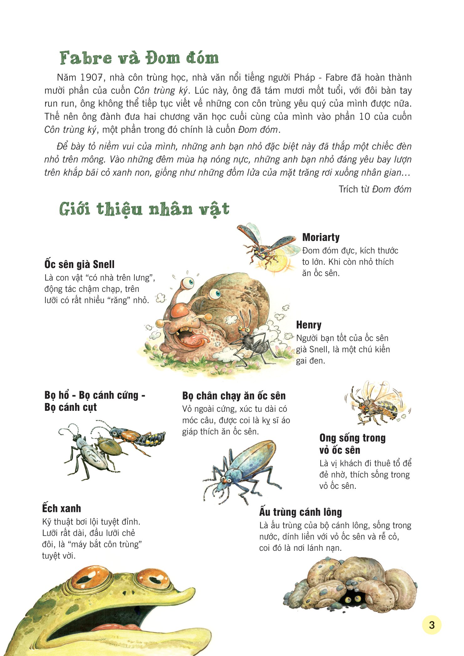 truyện tranh khoa học về các loài côn trùng - người bạn đáng ngờ - đom đóm - Ảnh 4