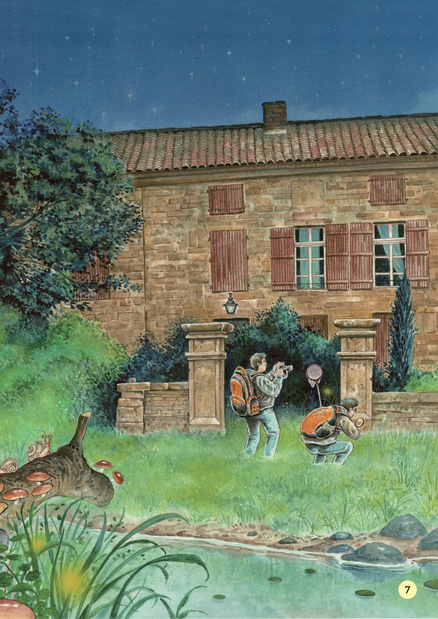 truyện tranh khoa học về các loài côn trùng - người bạn đáng ngờ - đom đóm - Ảnh 8