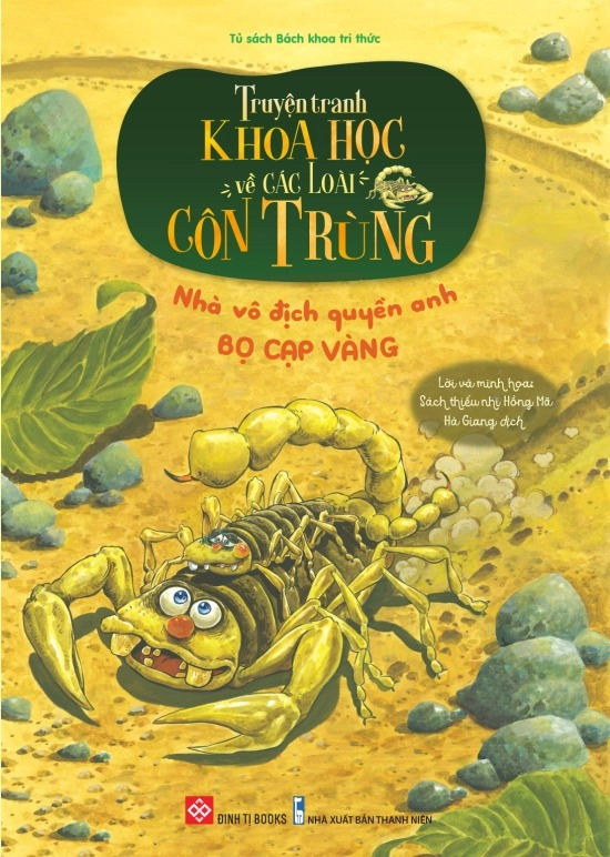 truyện tranh khoa học về các loài côn trùng - nhà vô địch quyền anh - bọ cạp vàng - Ảnh 2