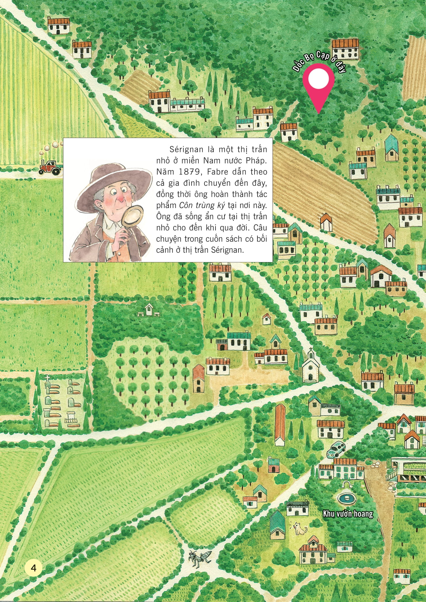 truyện tranh khoa học về các loài côn trùng - nhà vô địch quyền anh - bọ cạp vàng - Ảnh 3