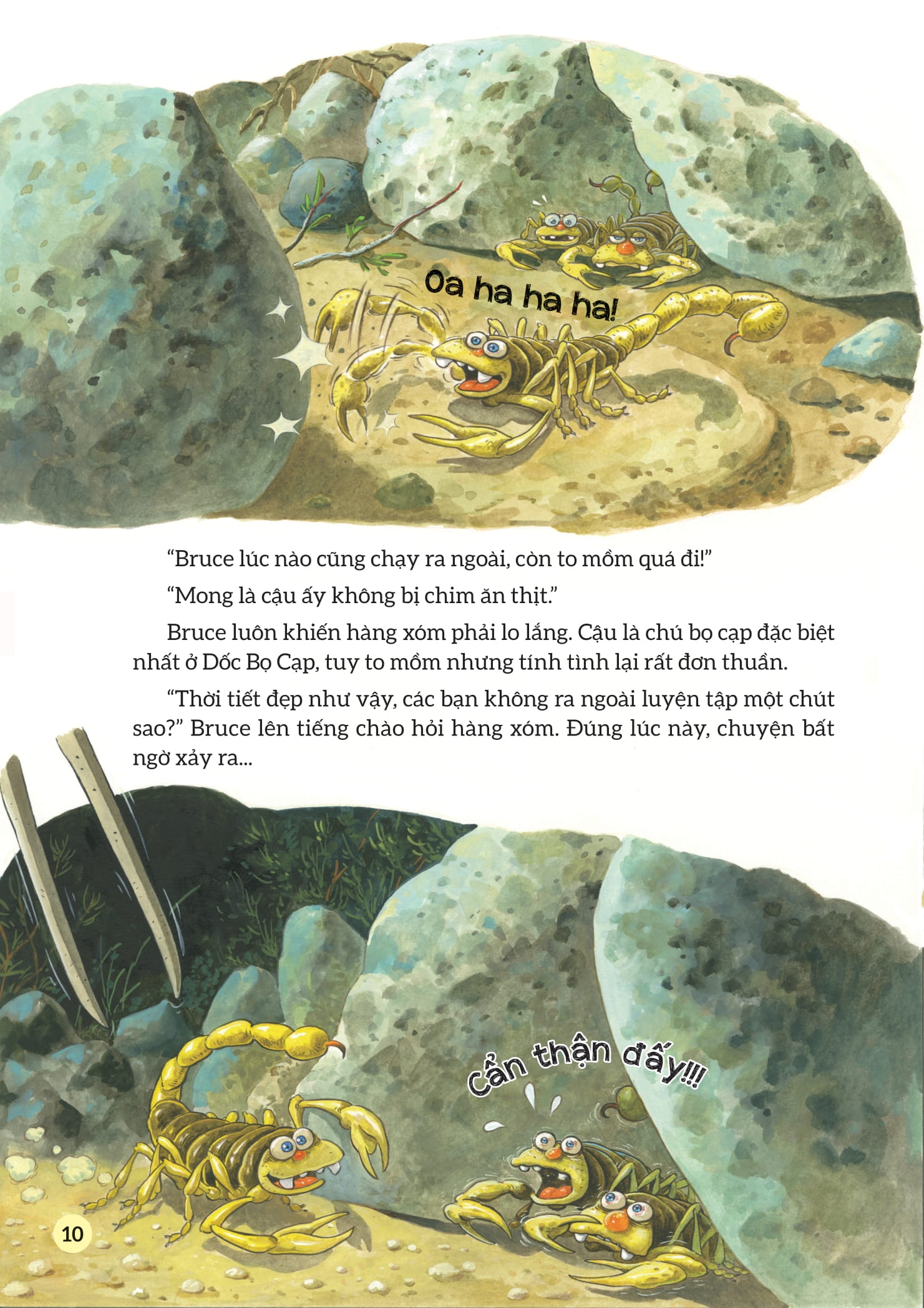 truyện tranh khoa học về các loài côn trùng - nhà vô địch quyền anh - bọ cạp vàng - Ảnh 9