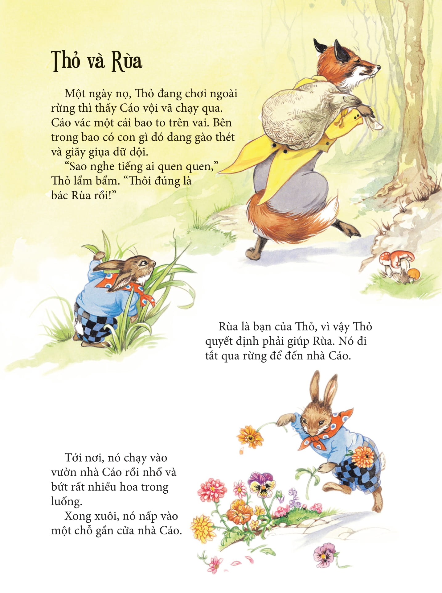 truyện về chú thỏ mưu mẹo - bìa cứng - Ảnh 8