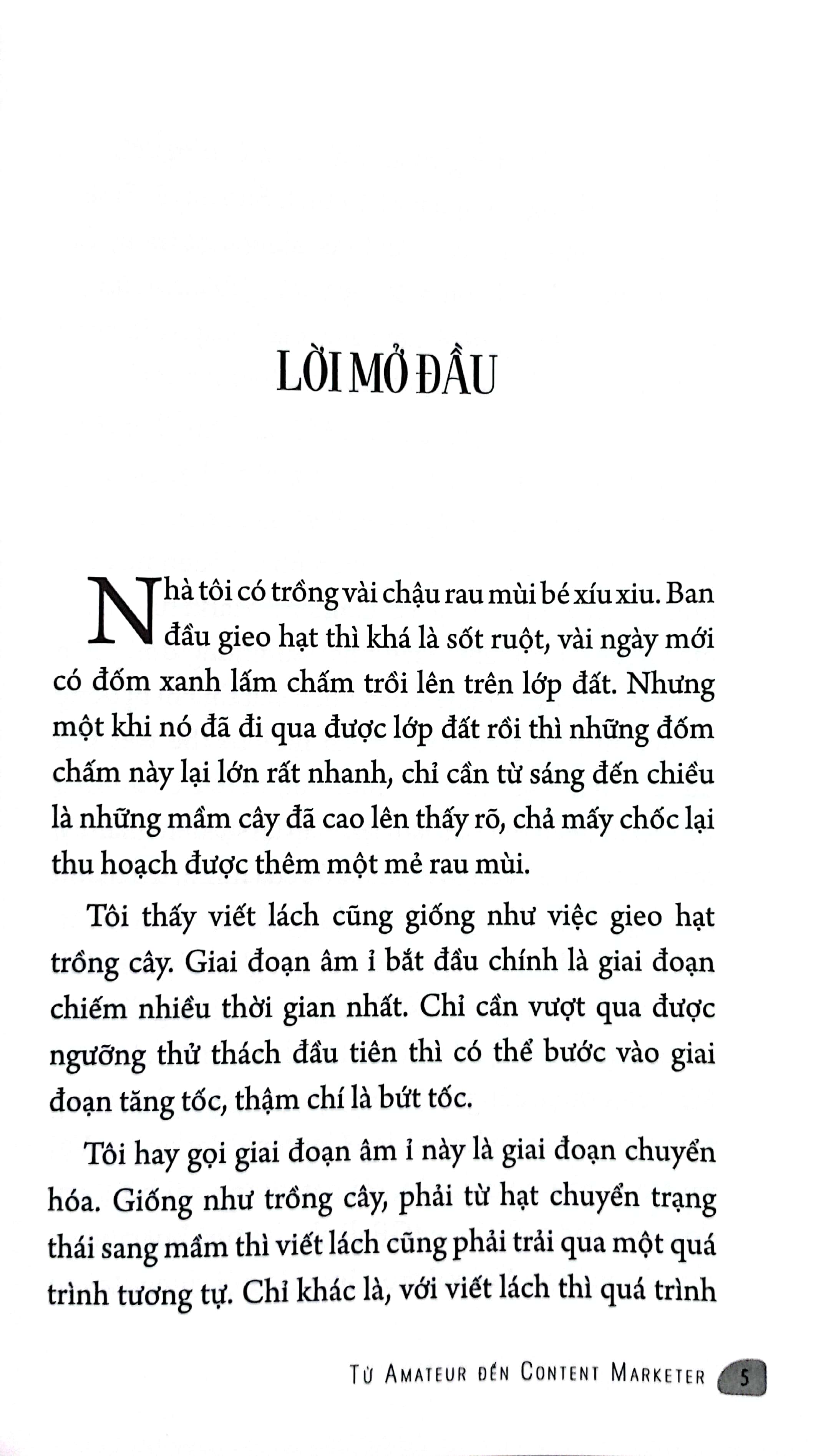 từ amateur đến content marketer - Ảnh 4