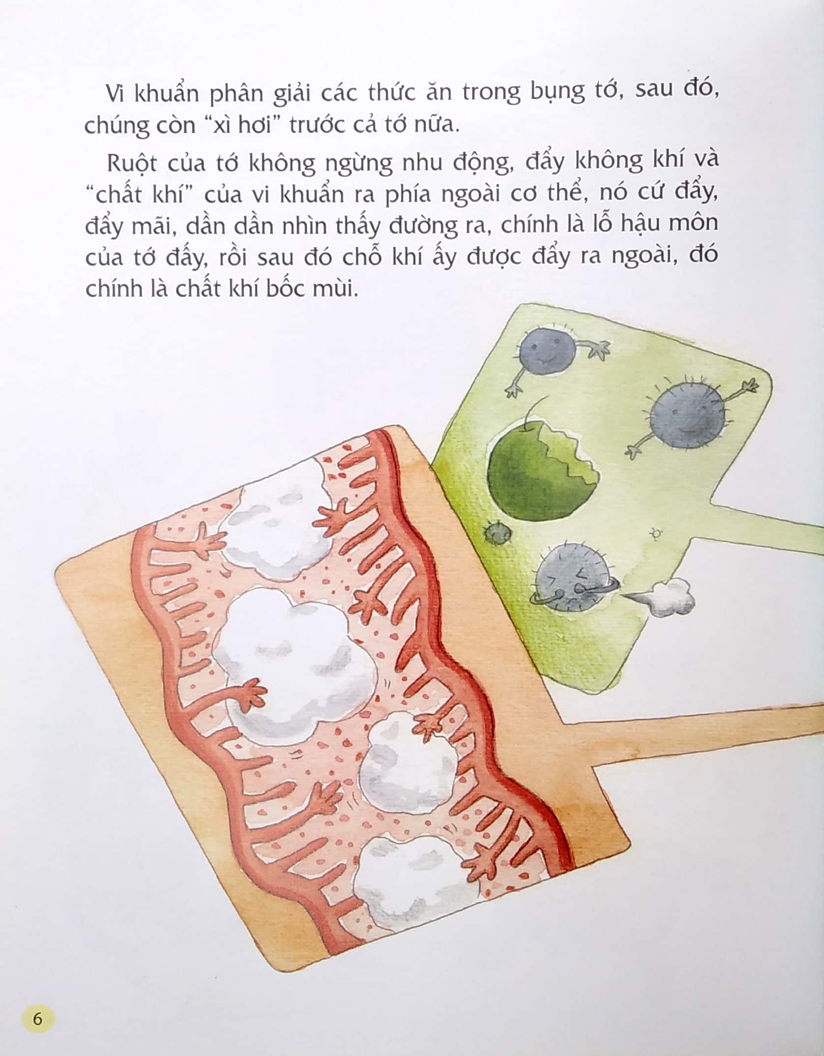 từ đầu đến chân, bao điều bí mật - chuyện xì hơi - Ảnh 5