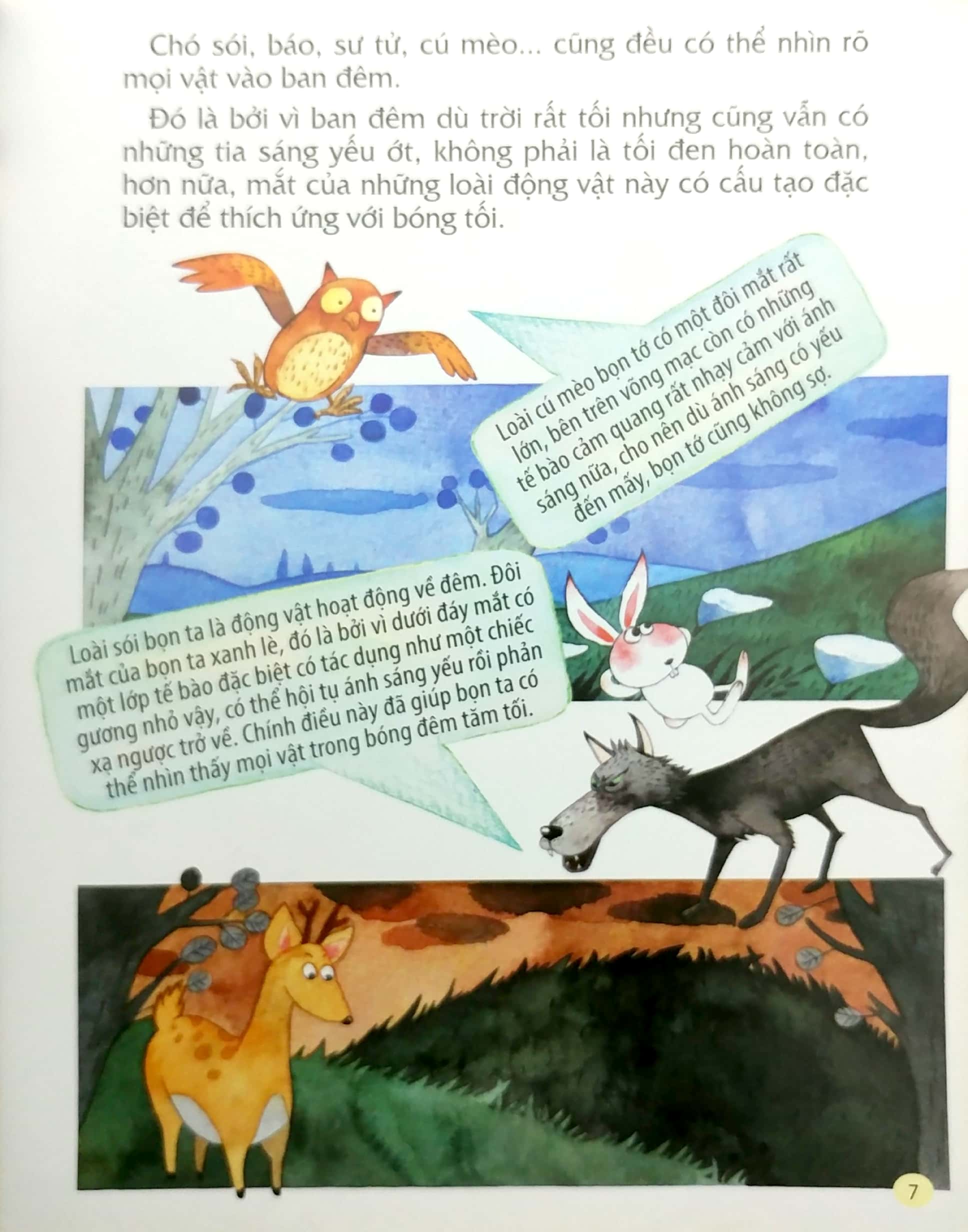 từ đầu đến chân, bao điều bí mật - đôi mắt - Ảnh 6