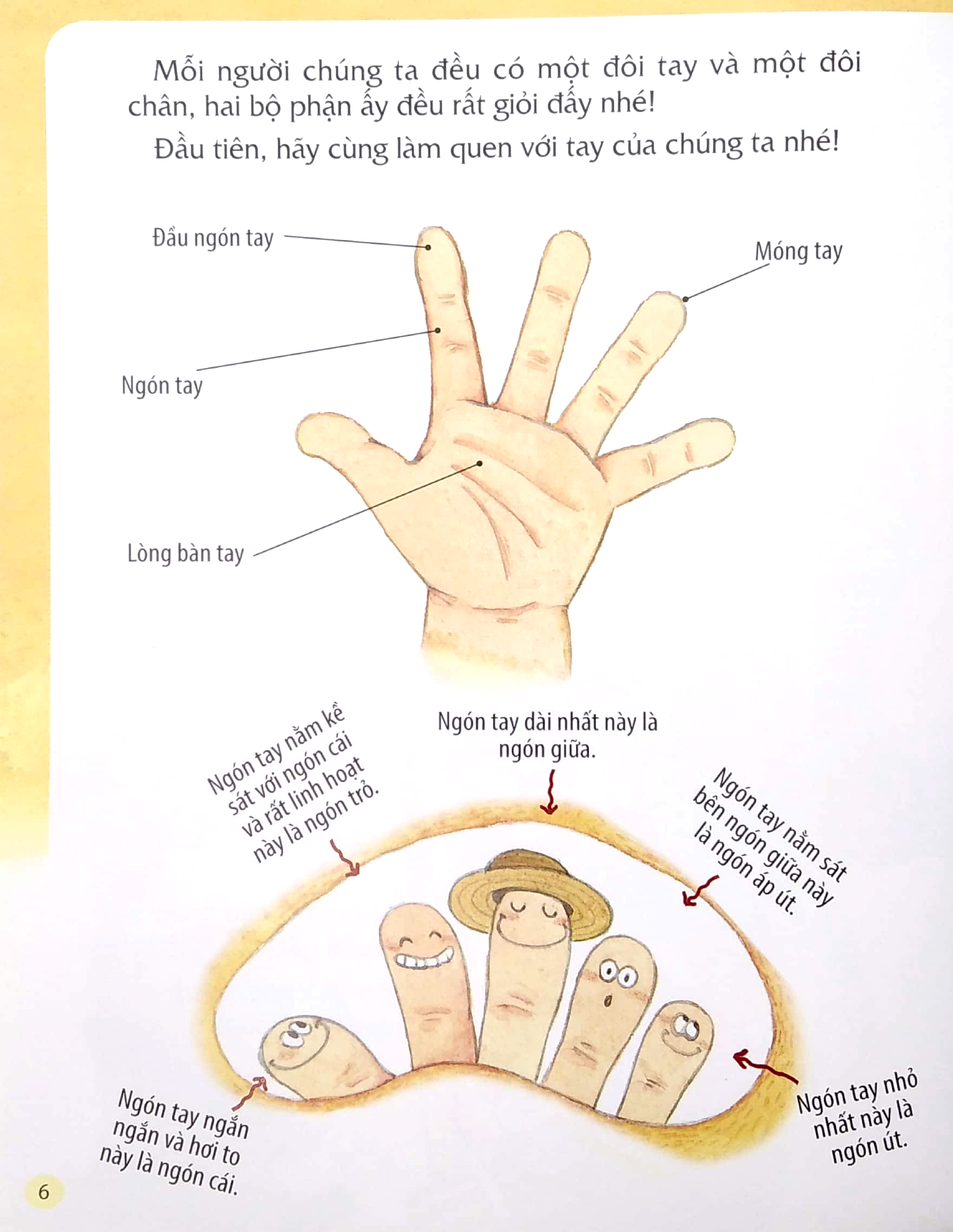 từ đầu đến chân, bao điều bí mật - tay và chân - Ảnh 5