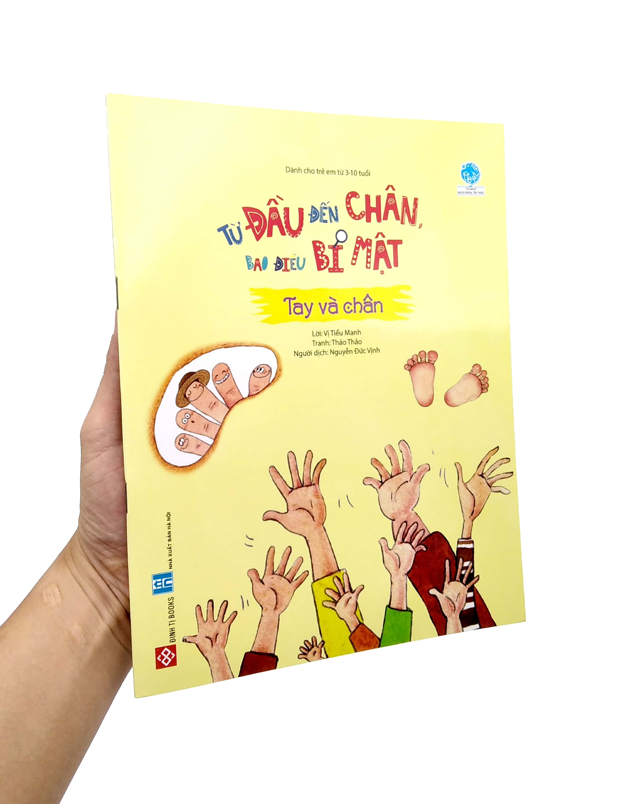 từ đầu đến chân, bao điều bí mật - tay và chân - Ảnh 7