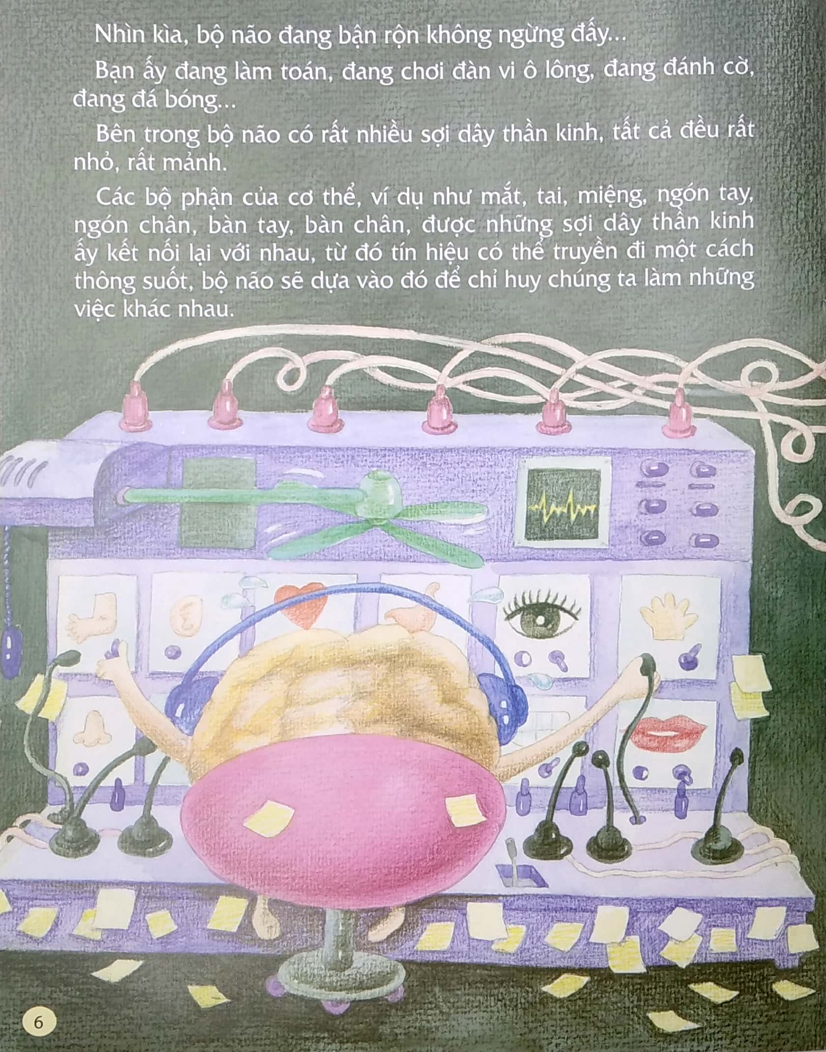 từ đầu đến chân, bao điều mới lạ - não bộ - Ảnh 5