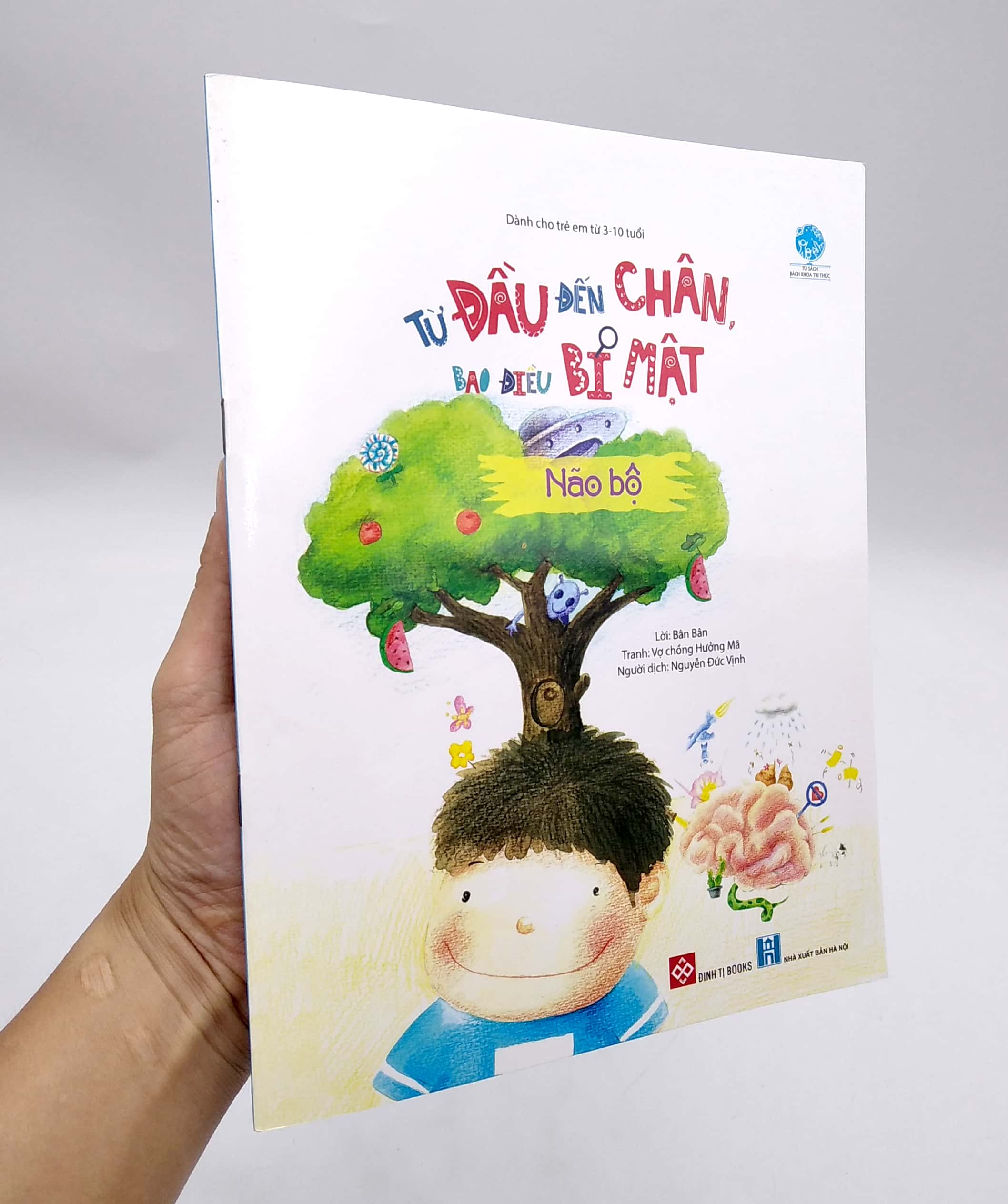 từ đầu đến chân, bao điều mới lạ - não bộ - Ảnh 7