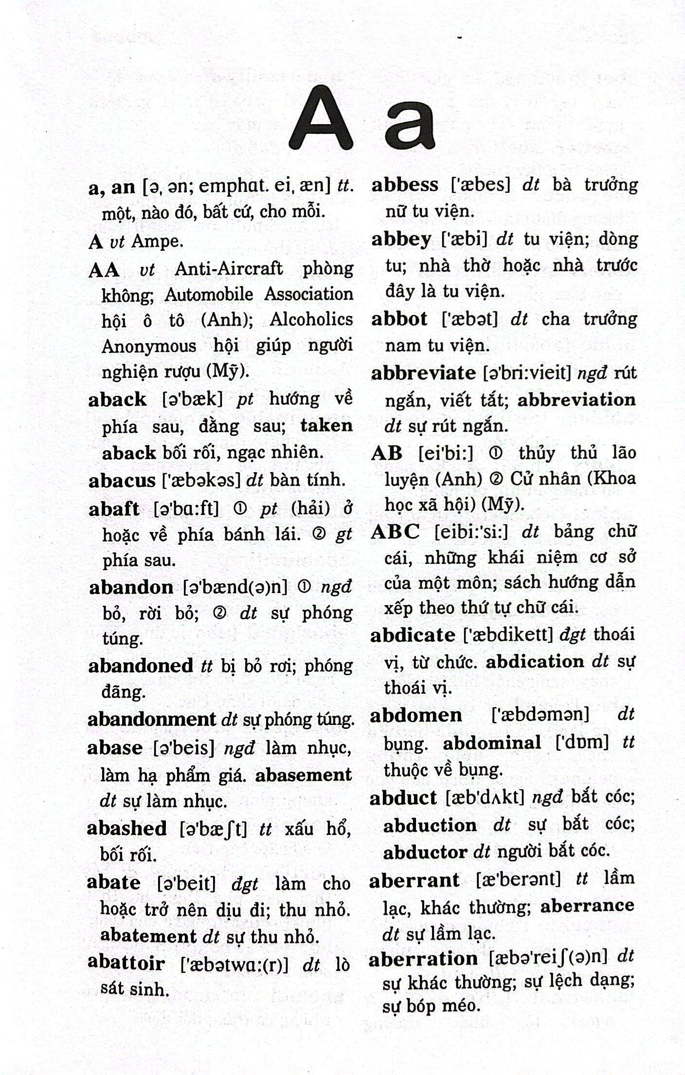 Từ Điển Anh-Việt 125.000 Từ - Bìa Cứng - Ảnh 3