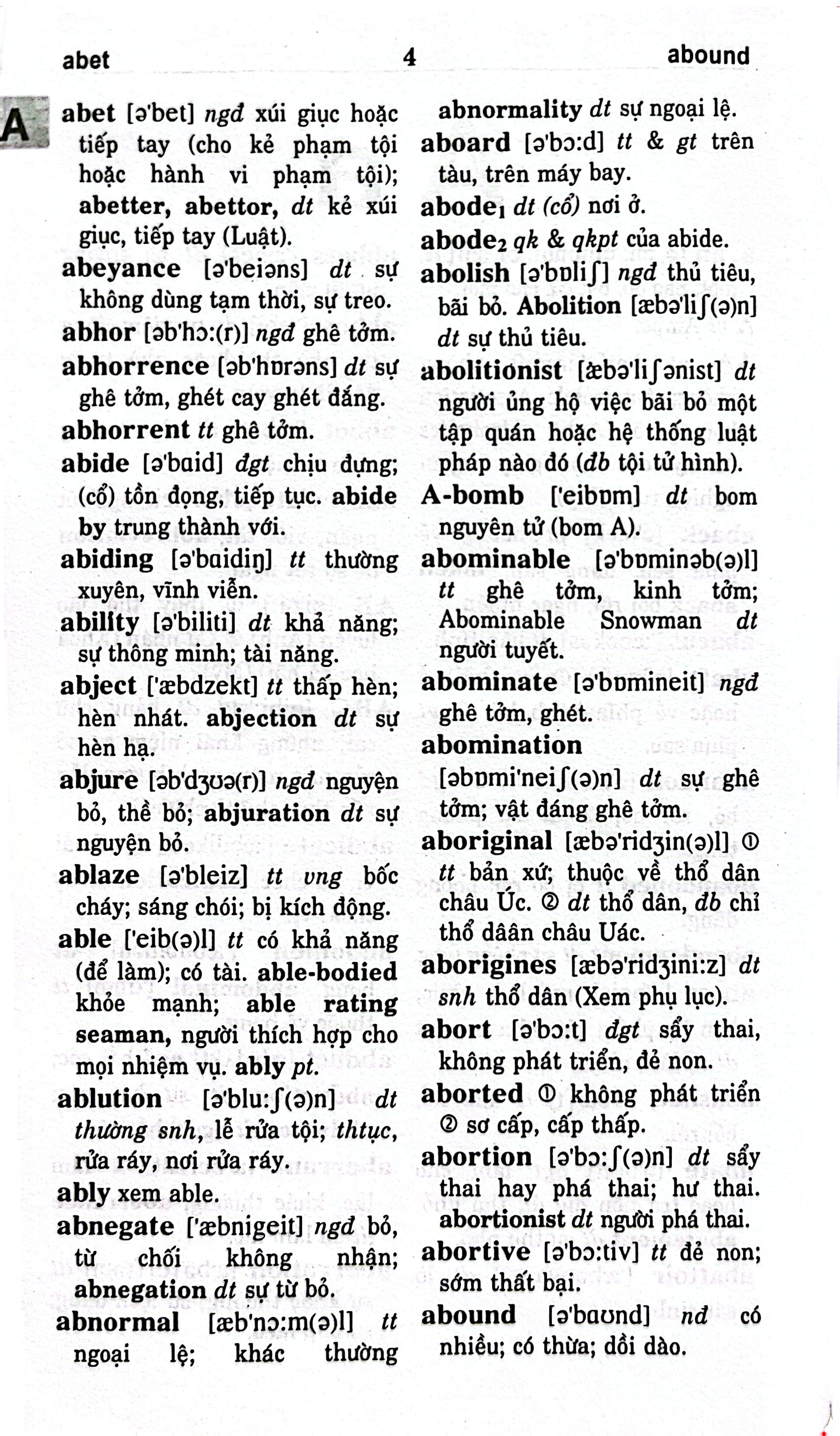 Từ Điển Anh-Việt 125.000 Từ - Bìa Cứng - Ảnh 4