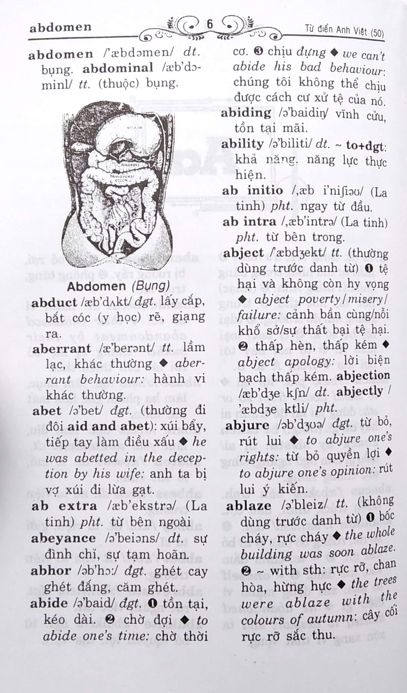 từ điển anh việt 50.000 từ (2016) - Ảnh 5