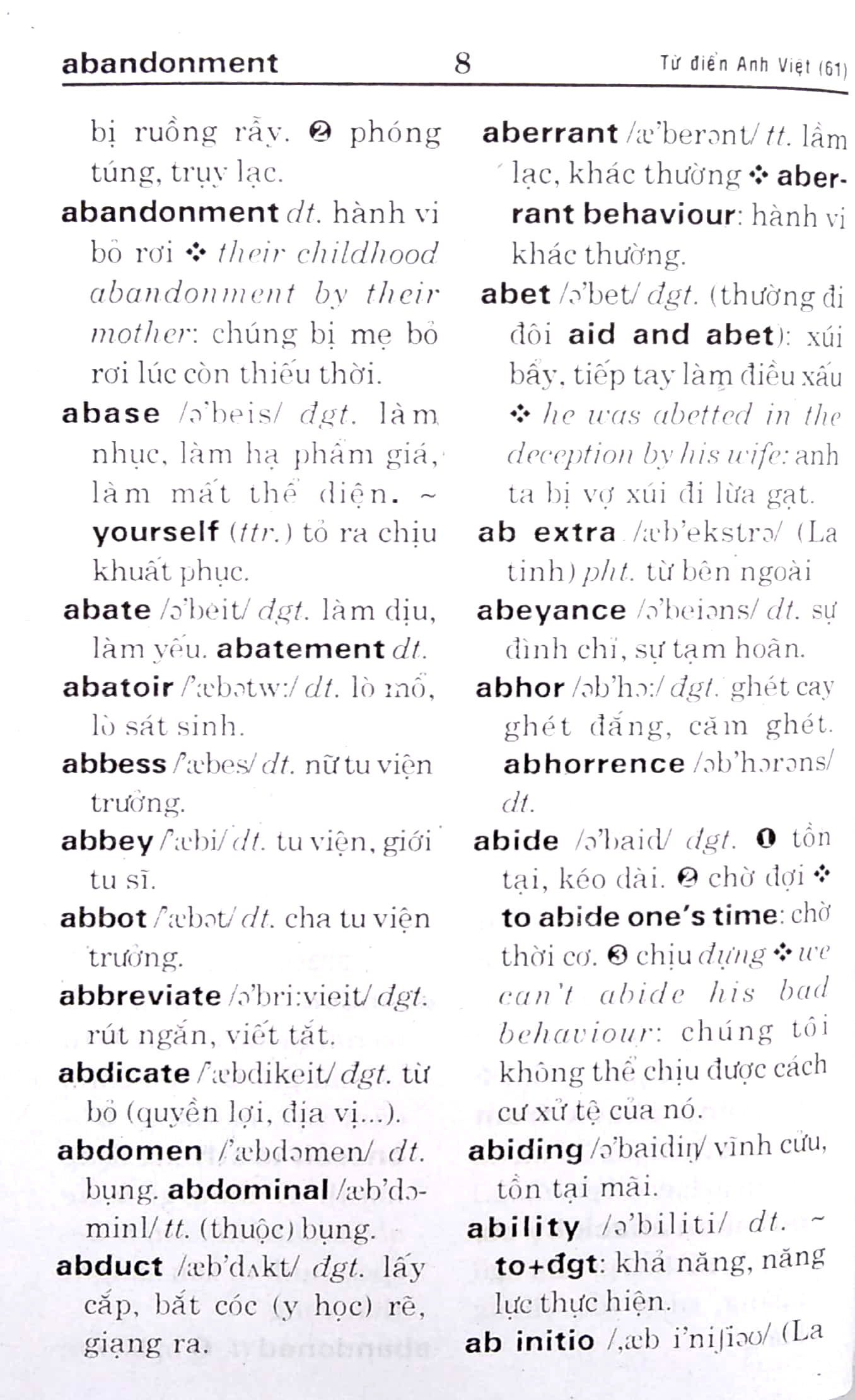 từ điển anh - việt 61.000 từ - Ảnh 4