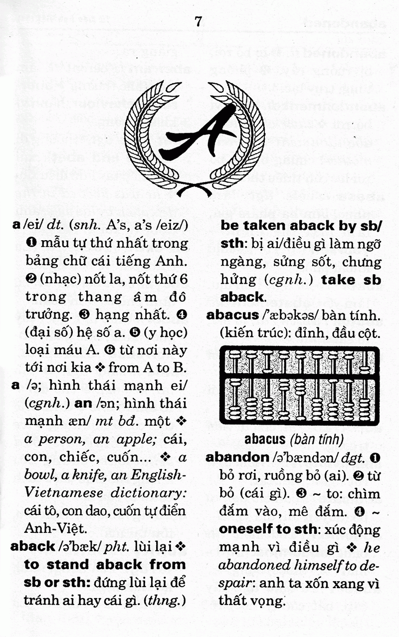 từ điển anh - việt (61.000 từ) - sách bỏ túi - Ảnh 3
